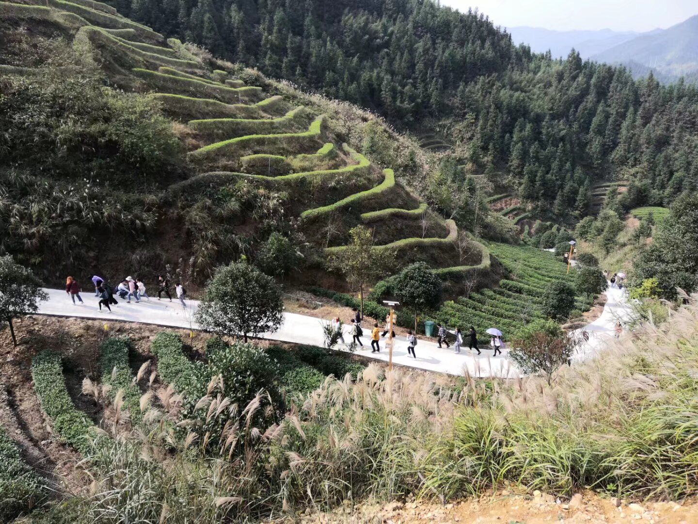 古楼驿生态文化旅游区旅行图片 2