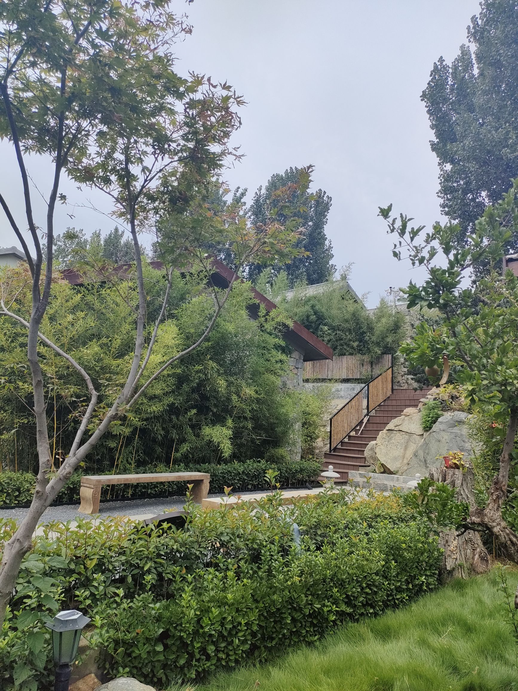 滕州市张山口全民健身公园旅行图片 1