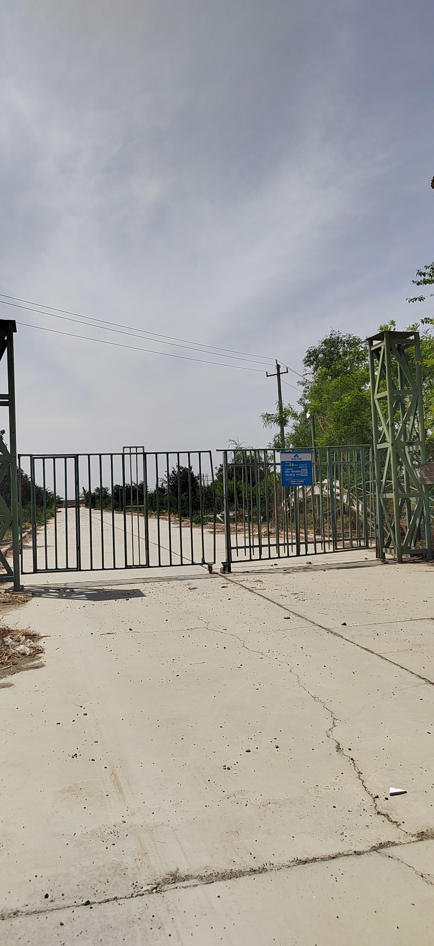 九龙树生态旅游观光园 - 天山乡便民圈栖邻生活圈风景名胜服务点实景照片