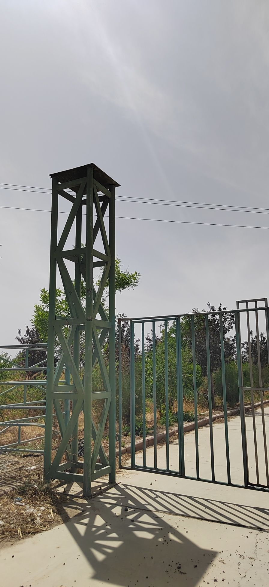 九龙树生态旅游观光园 - 天山乡便民圈栖邻生活圈风景名胜服务点实景照片