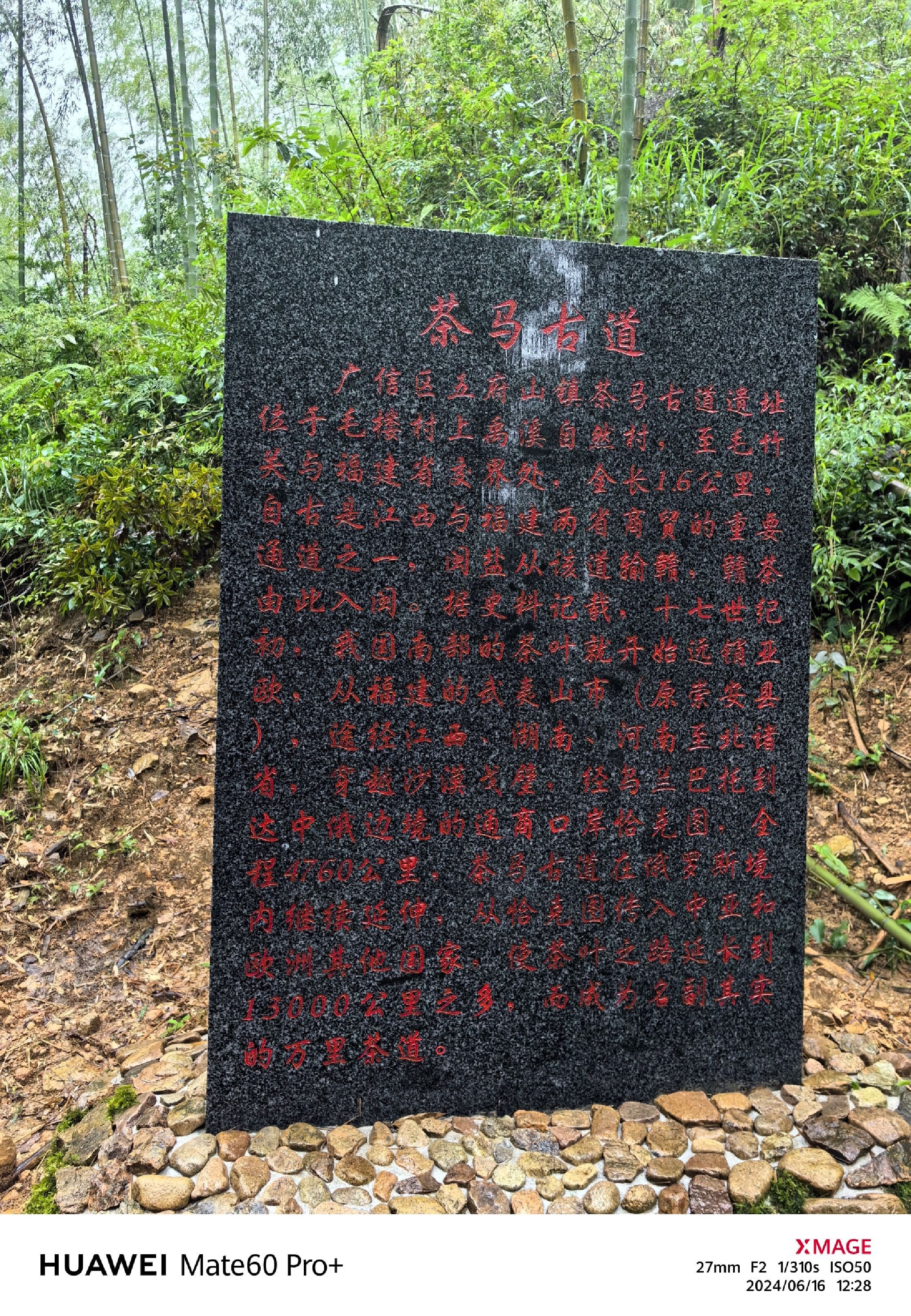 毛竹关国家森林步道旅行图片 2