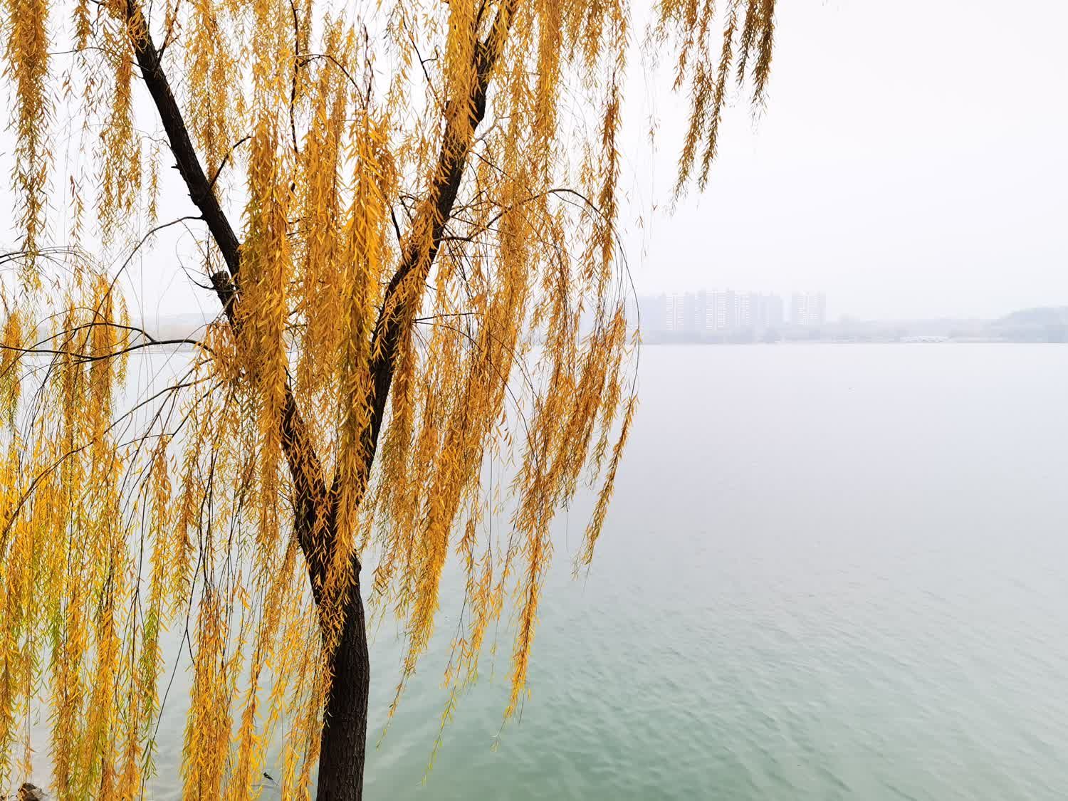 天平湖景区旅行图片 3