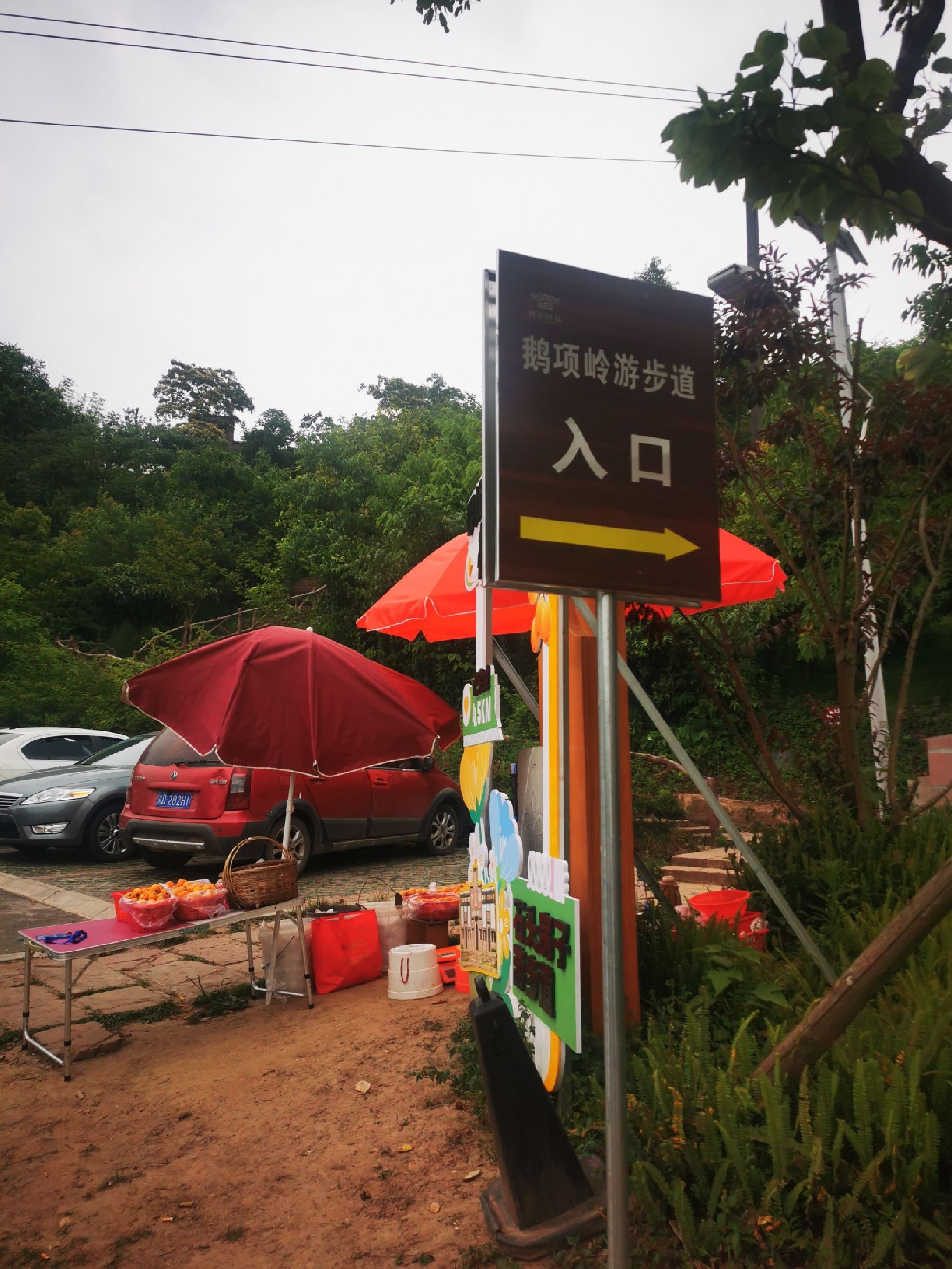 鹅项岭旅行图片 1