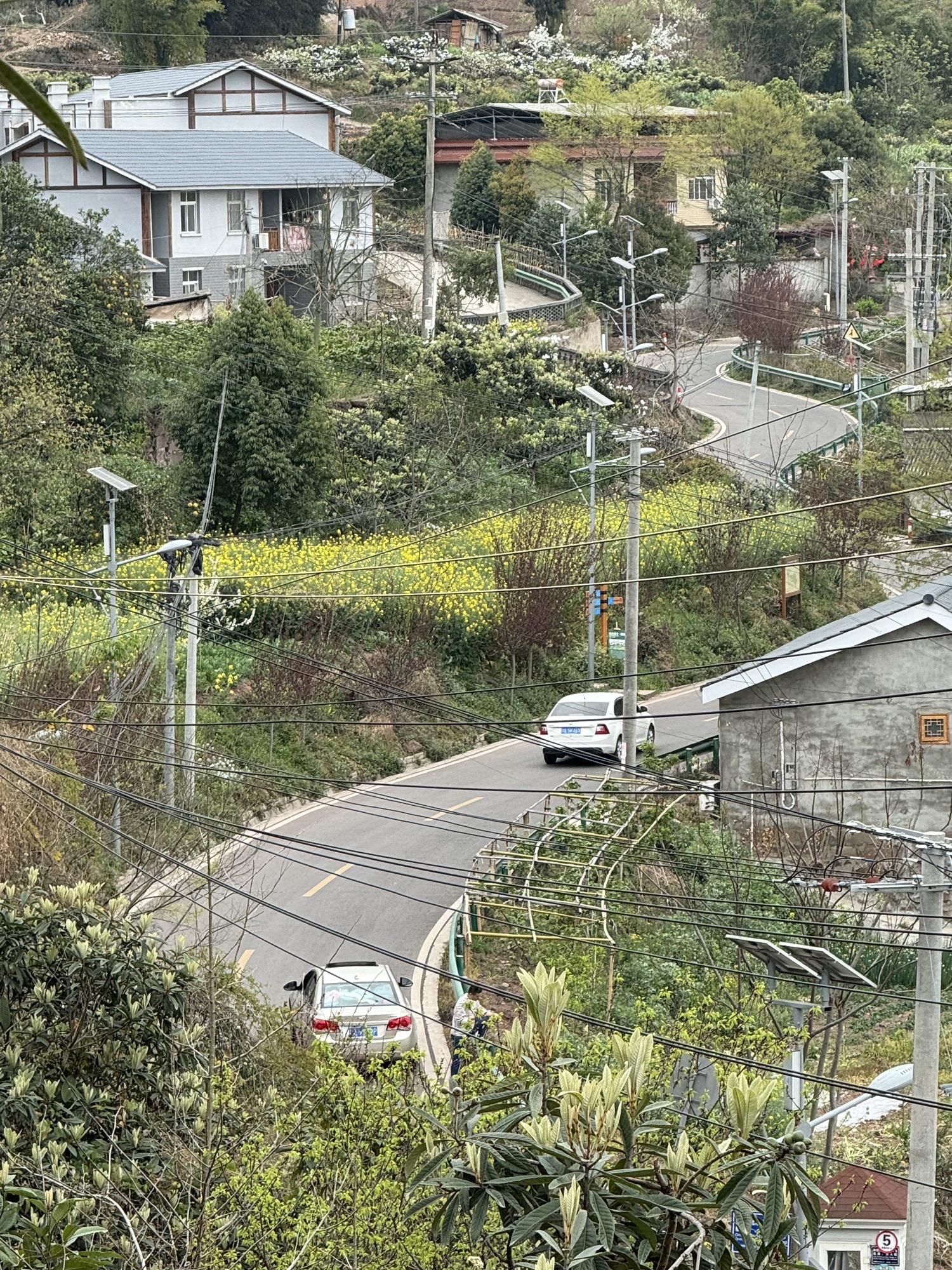鹅项岭旅行图片 3