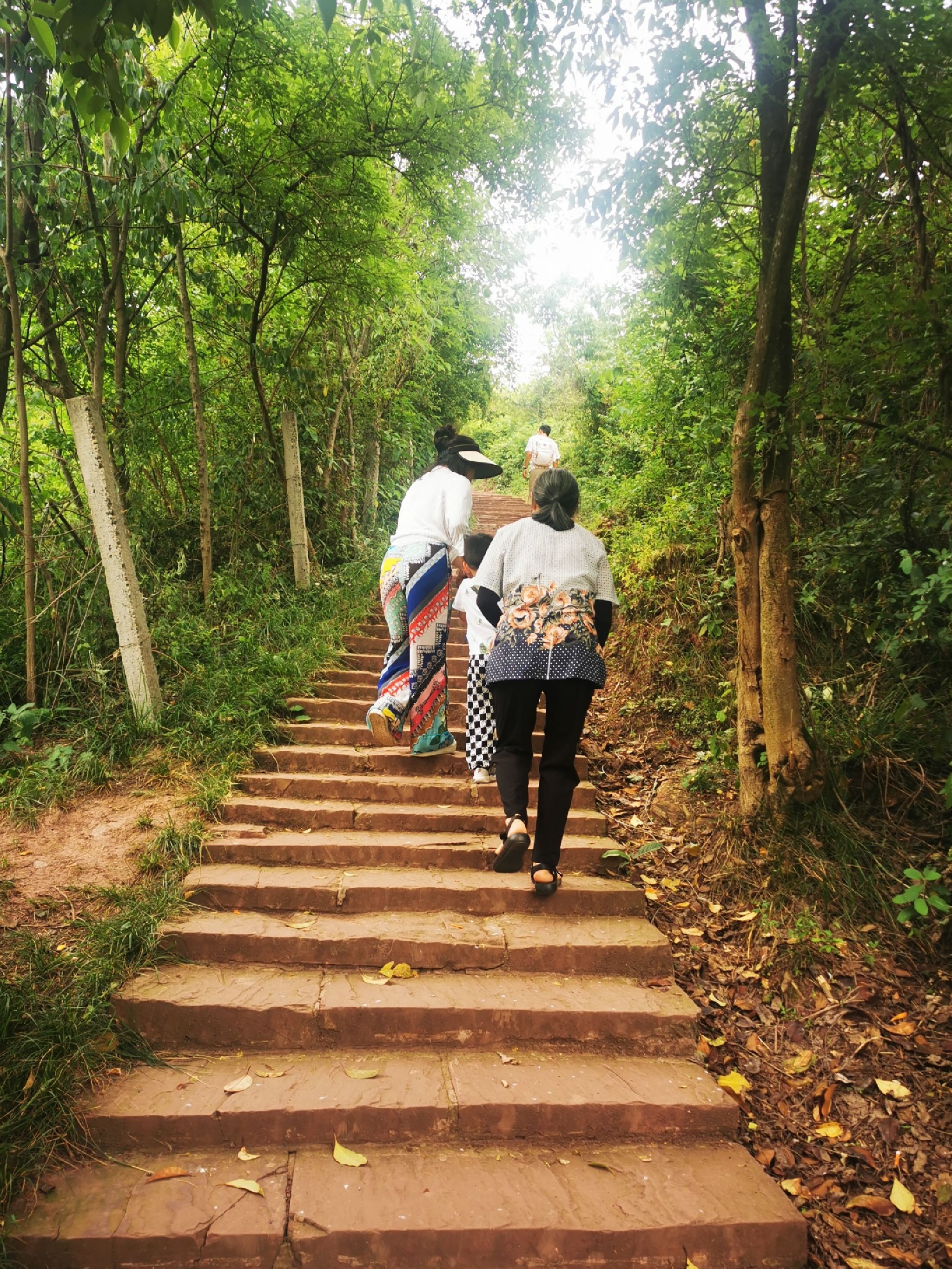 鹅项岭旅行图片 3