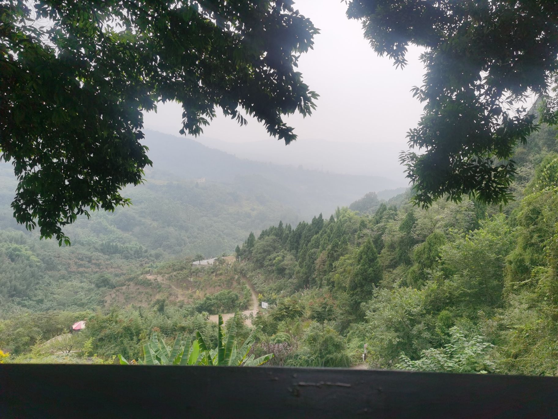 鹅项岭旅行图片 2