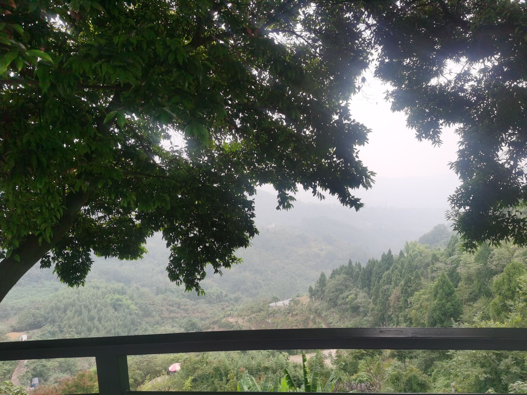 鹅项岭旅行图片 3