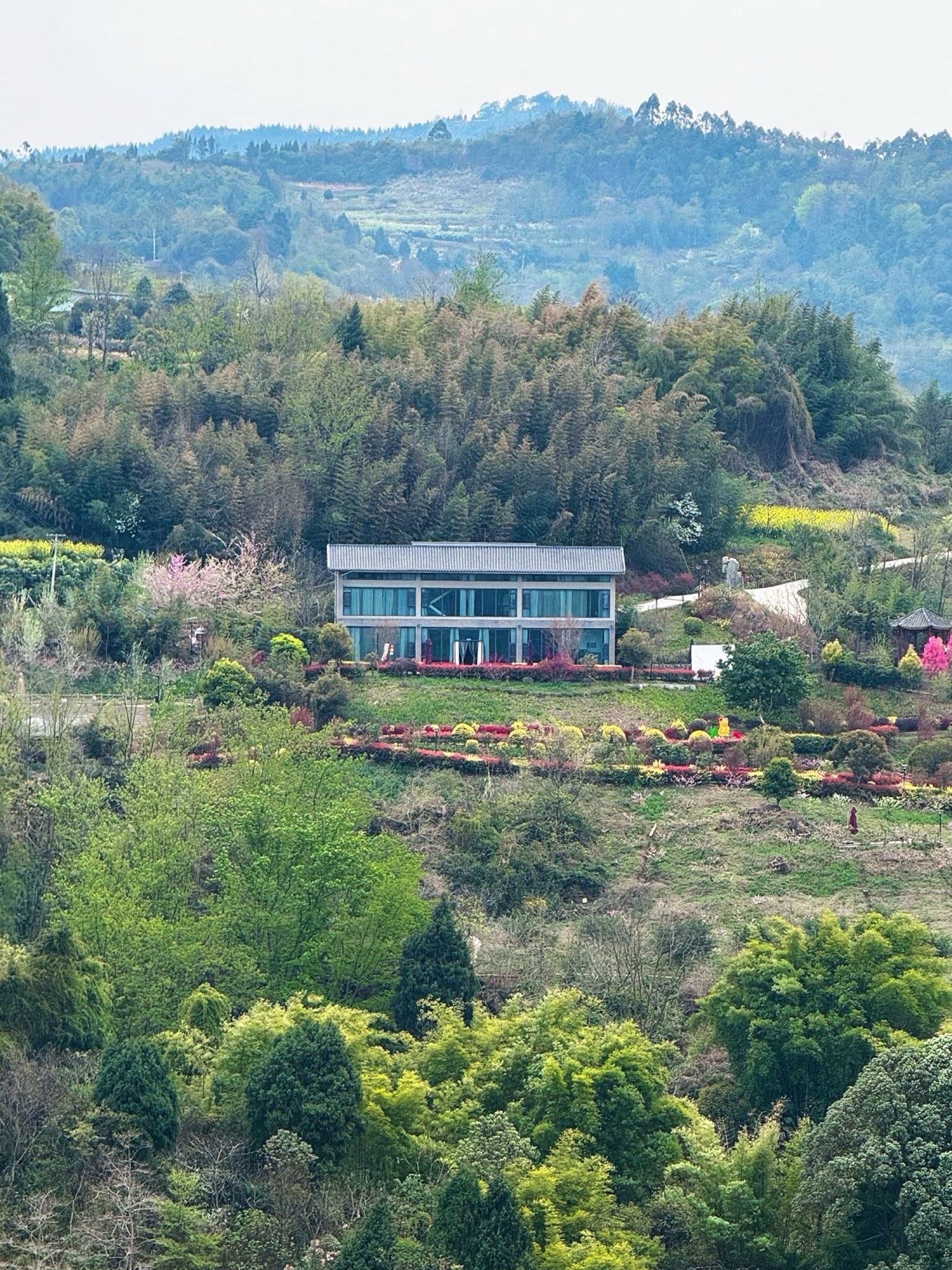 鹅项岭旅行图片 1