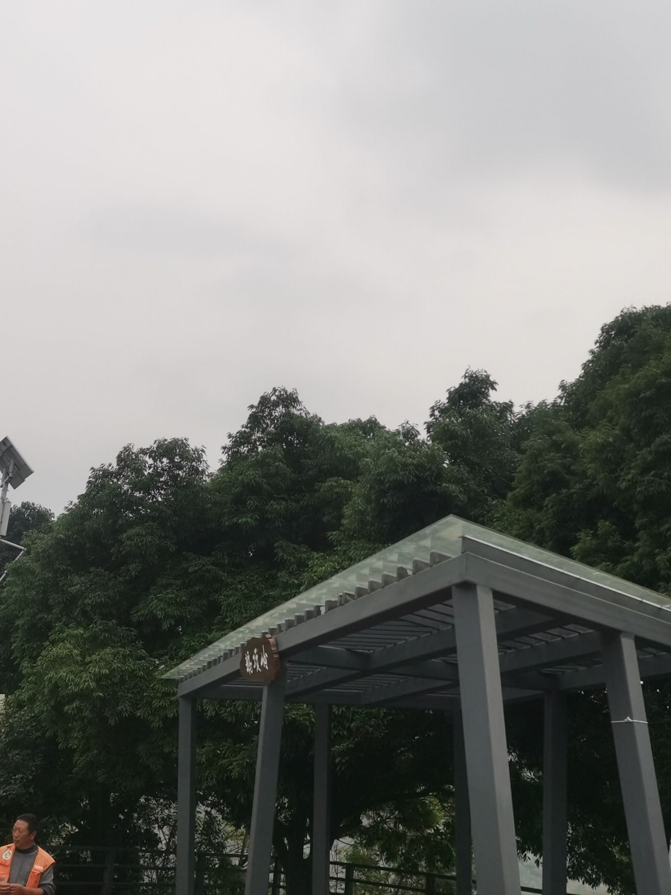 鹅项岭旅行图片 1