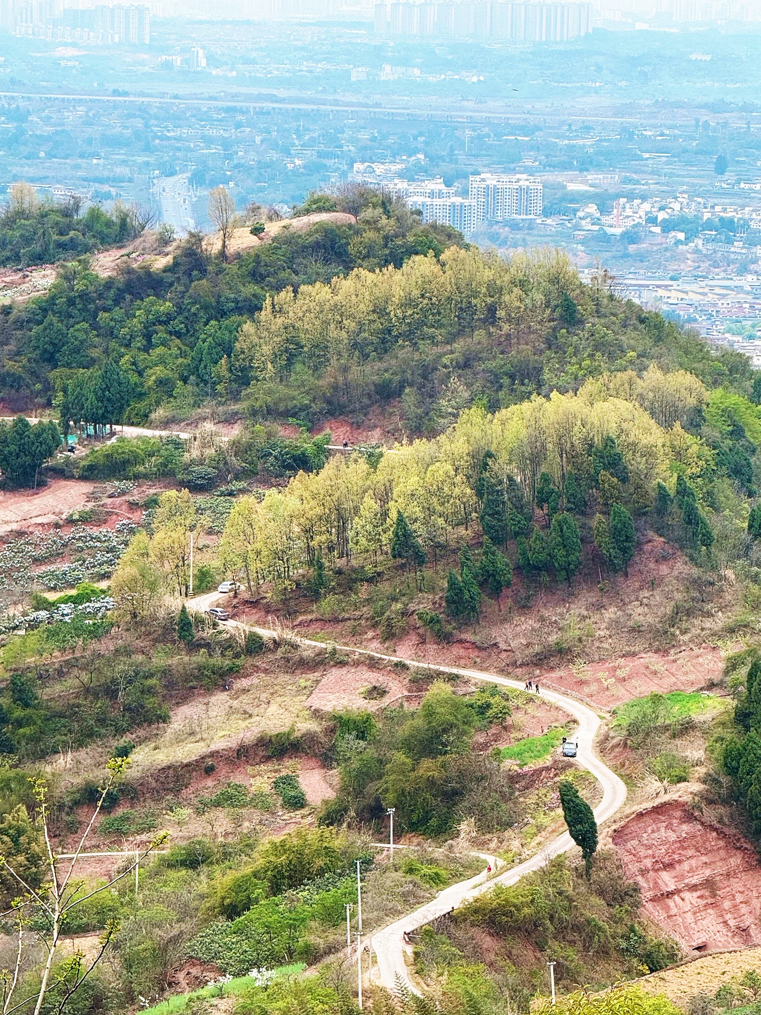 鹅项岭旅行图片 2