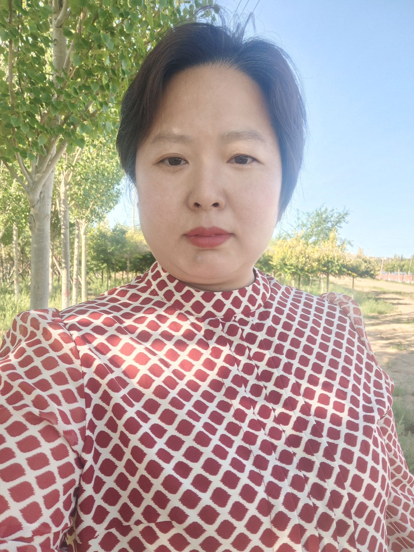 赛汉湖旅行图片 1