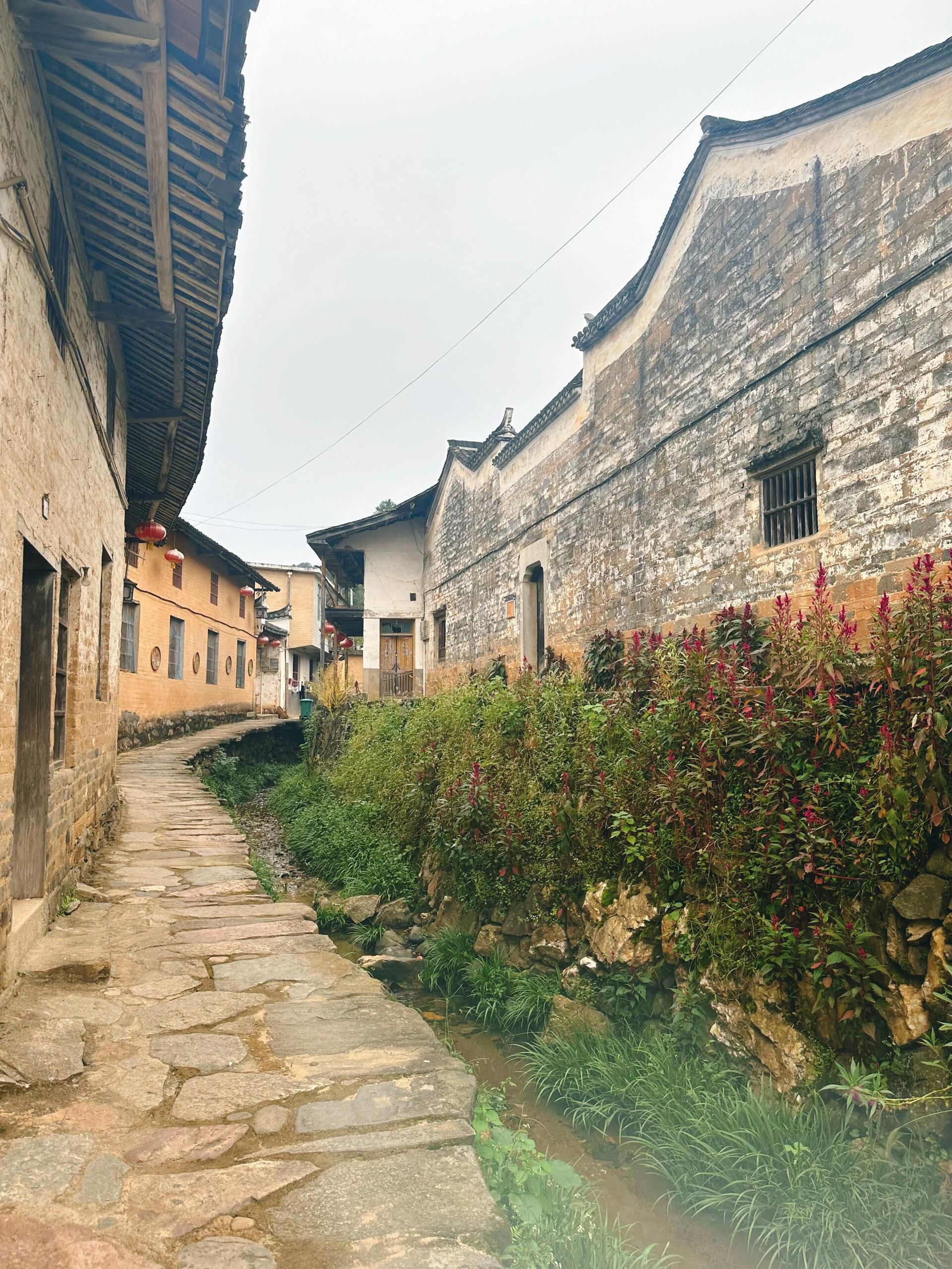 蔡畈古村旅行图片 3