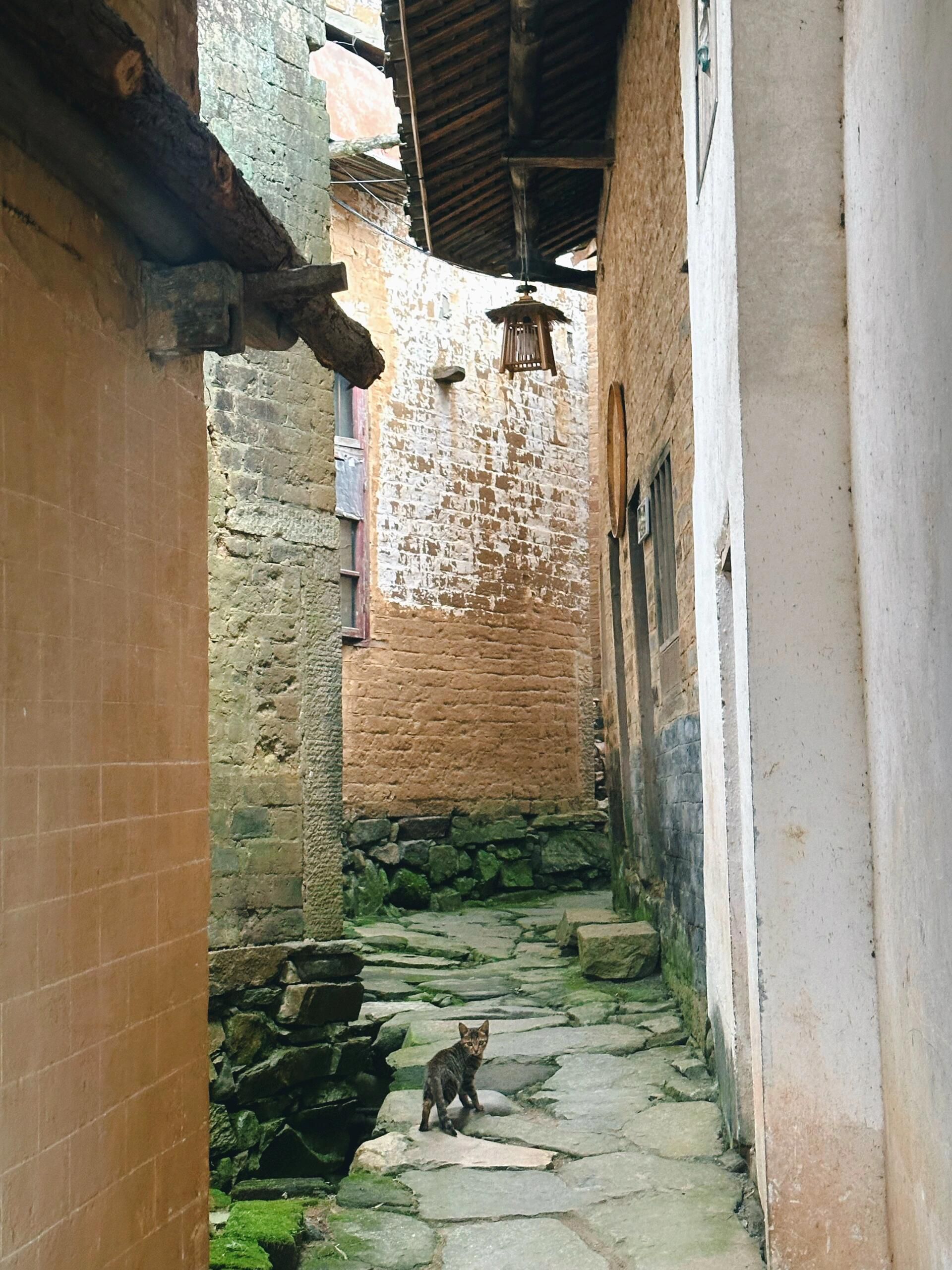蔡畈古村旅行图片 2