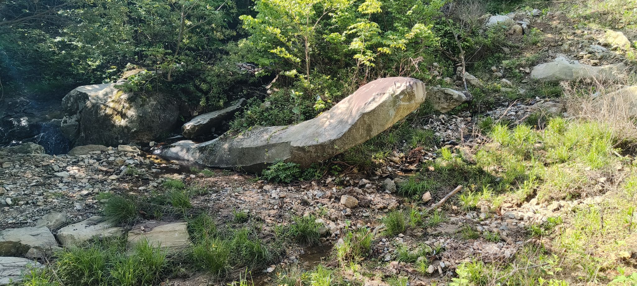 摸云尖映山红花海旅行图片 2