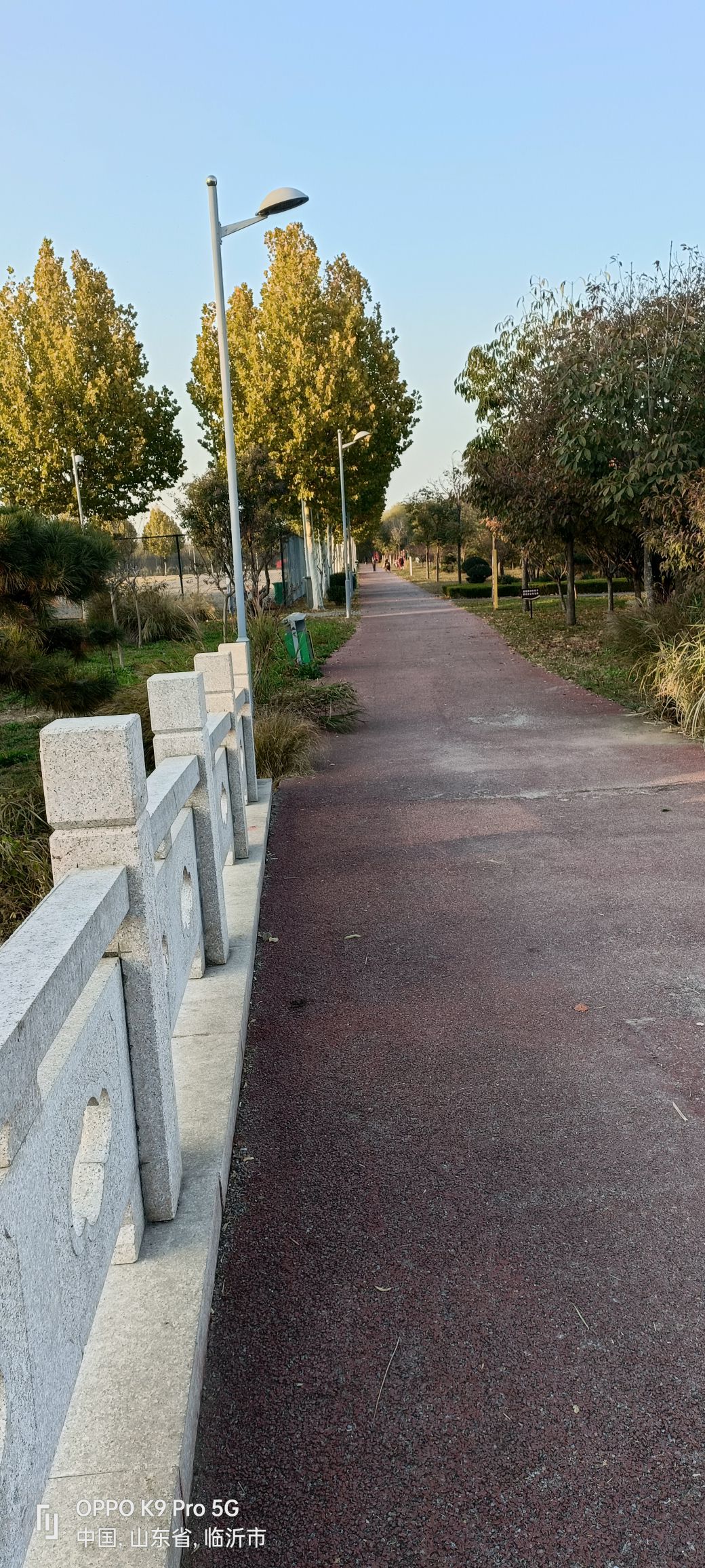 沂河湿地公园旅行图片 3