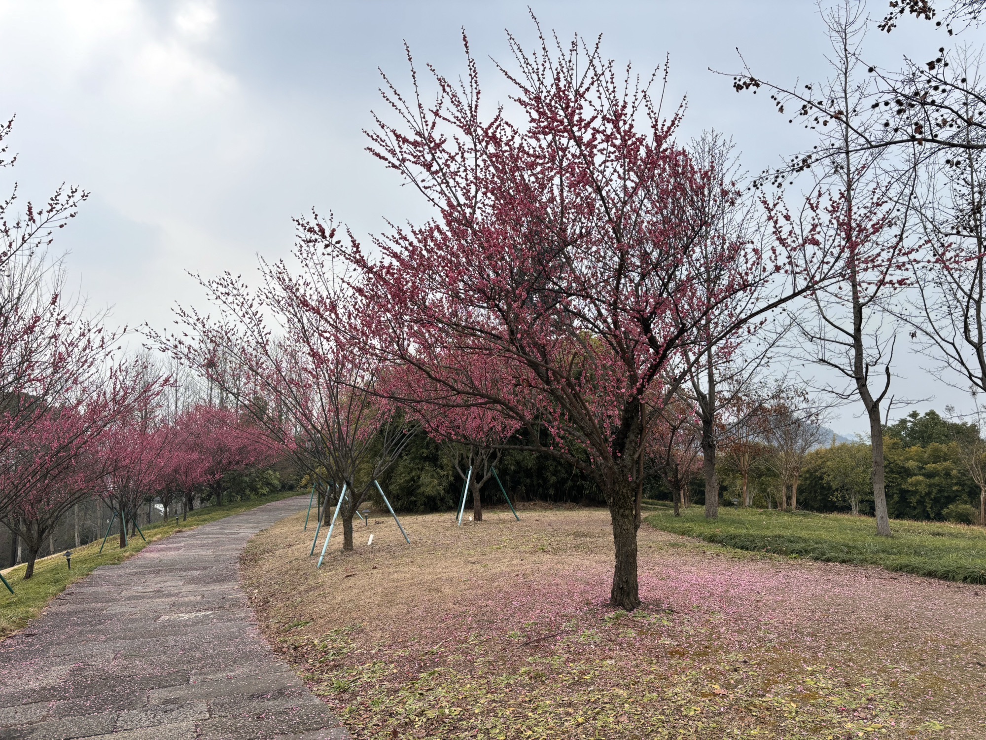 湘湖国家旅游度假区-眉山岛