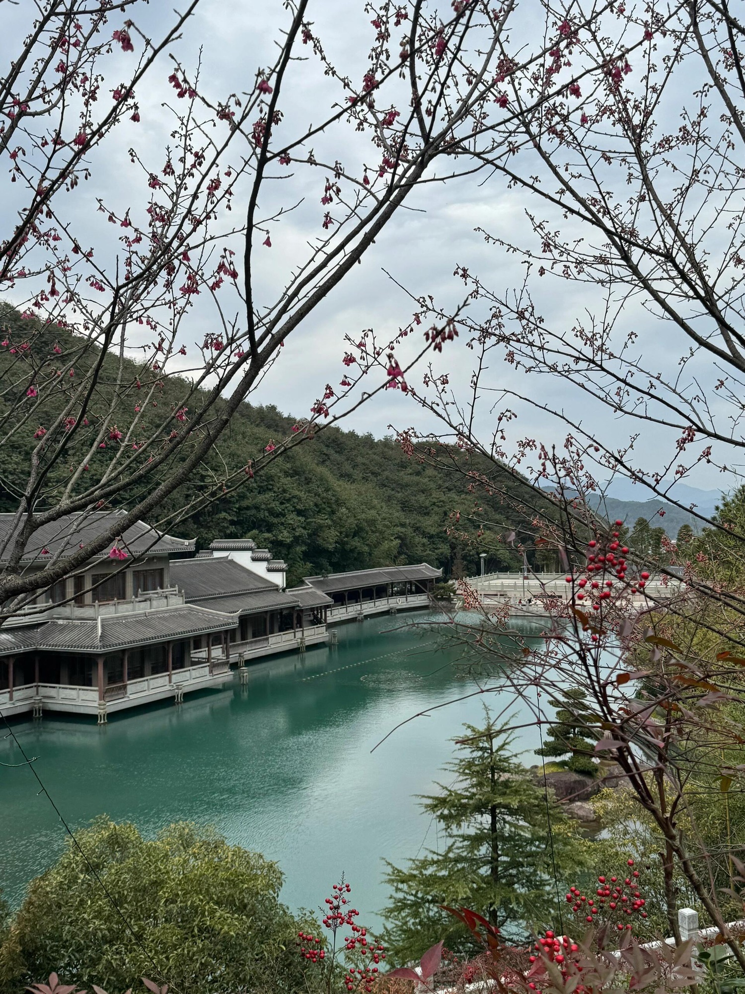 沉香湖旅行图片 2