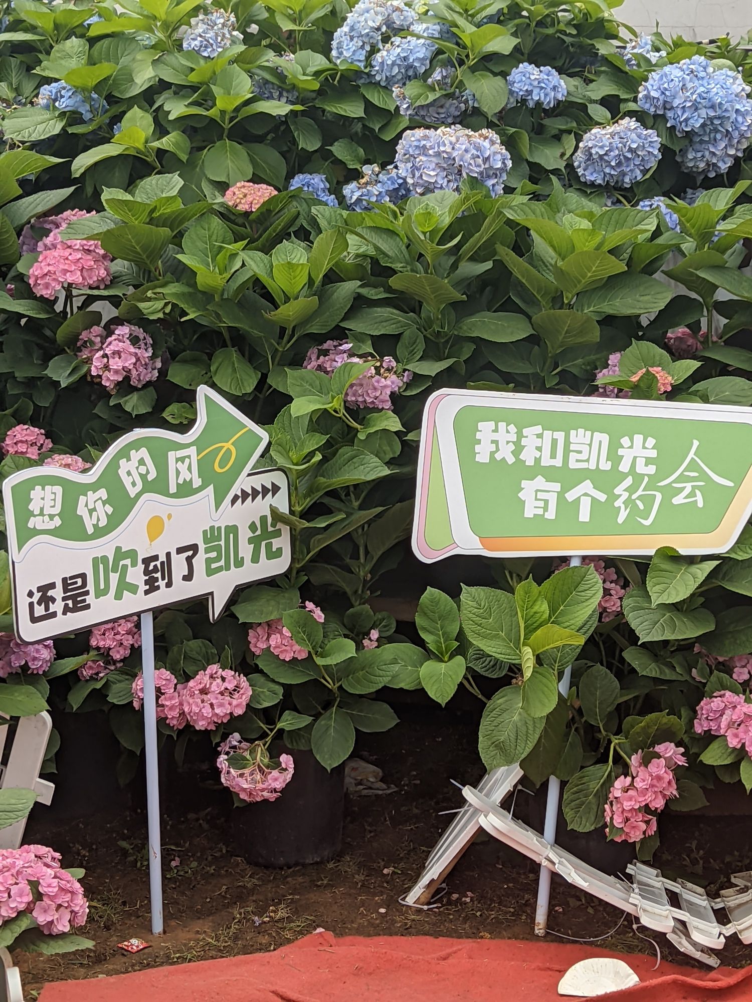 萍乡凯光新天地生态旅游区旅行图片 1