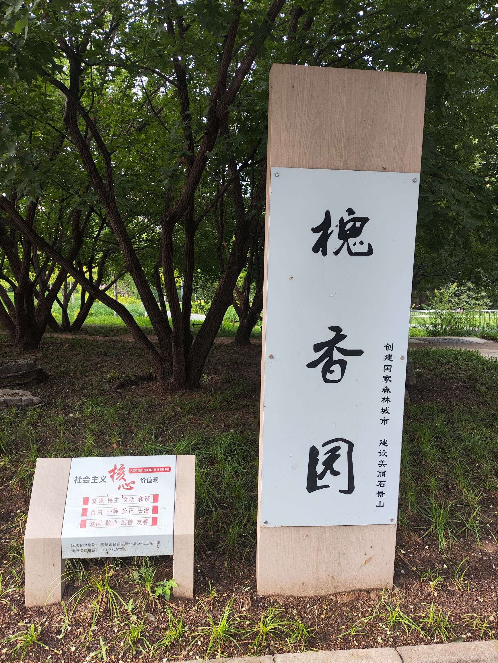 槐香园旅行图片 3