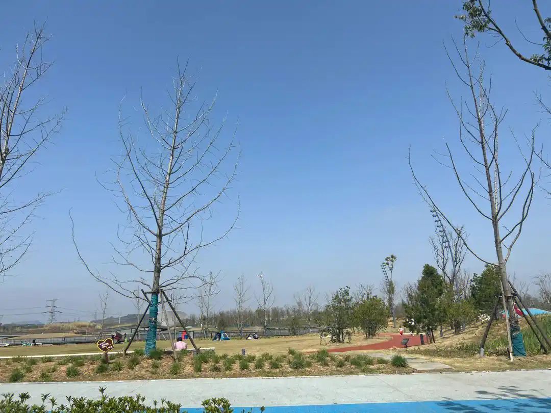如意湖风景区旅行图片 1