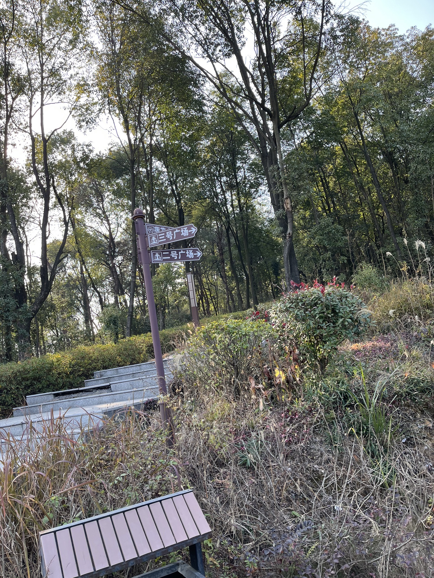 百花山公园旅行图片 2