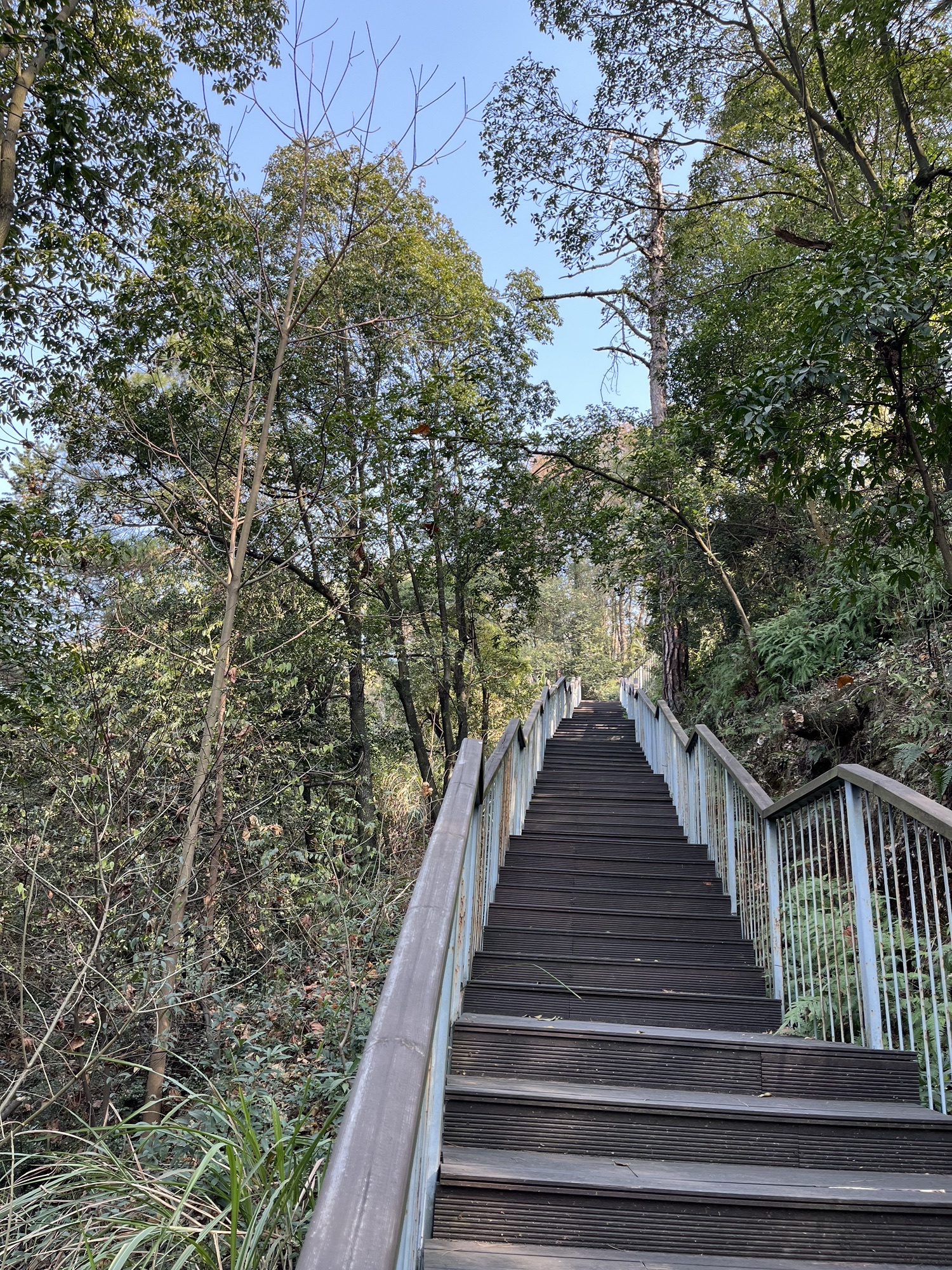 百花山公园旅行图片 3