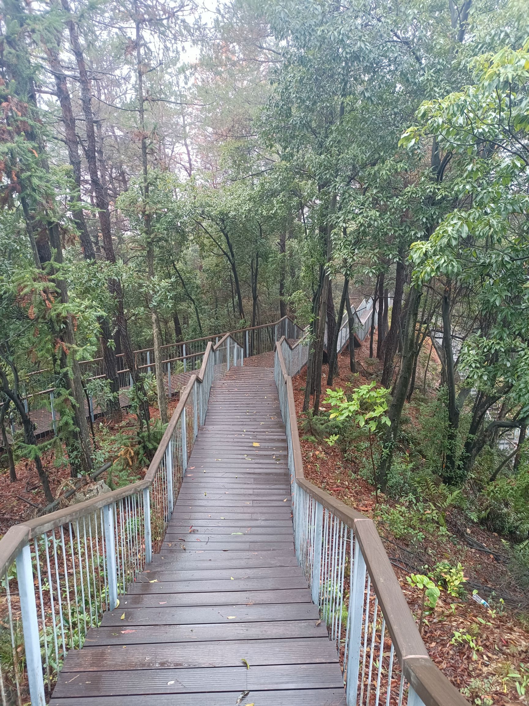 百花山公园旅行图片 3