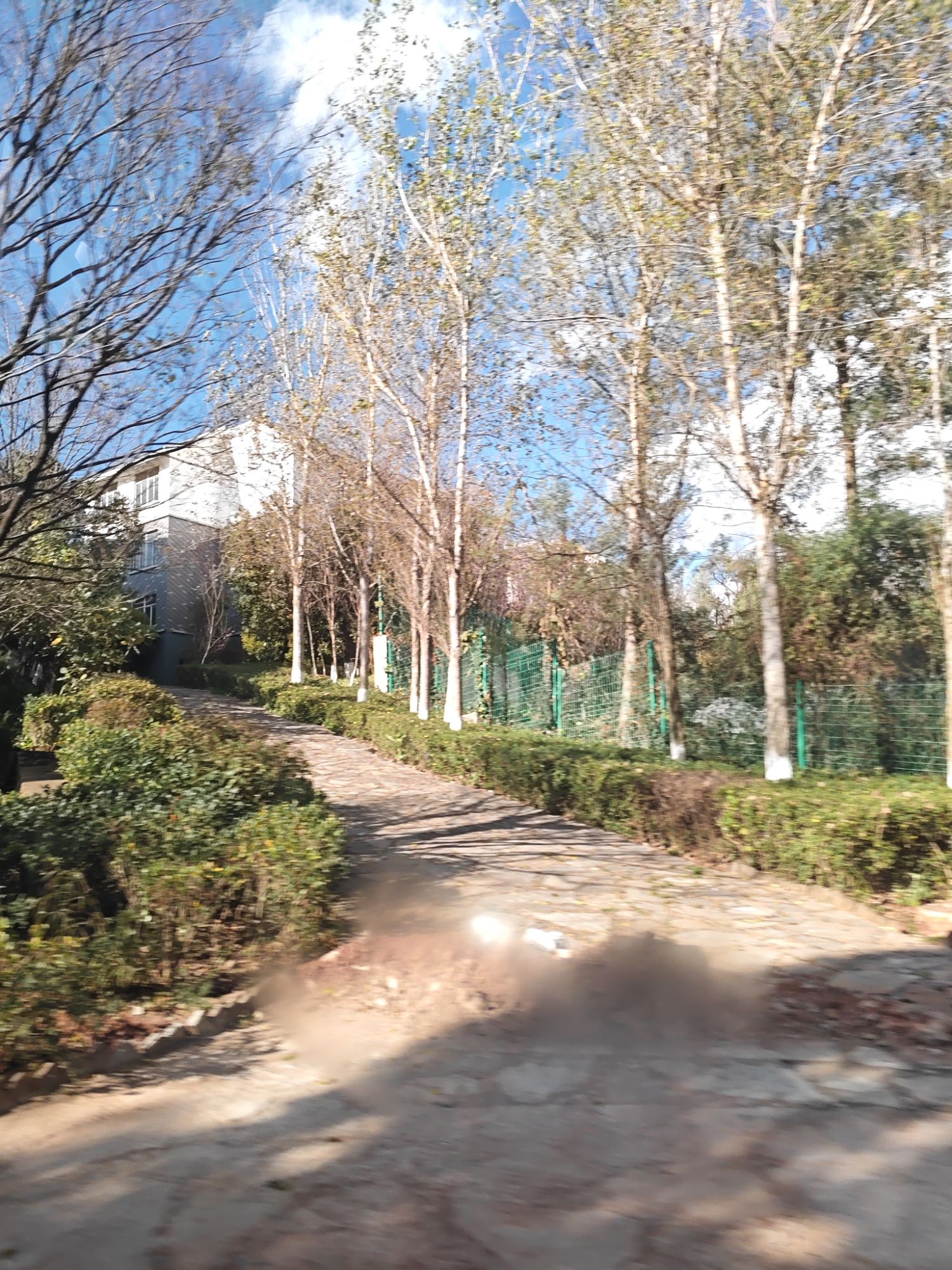 昆明市桃源公园