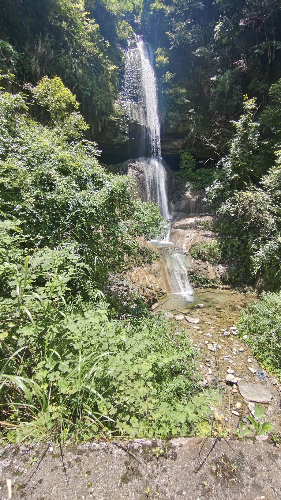 酉阳县三黛沟大鲵自然保护区旅行图片 2