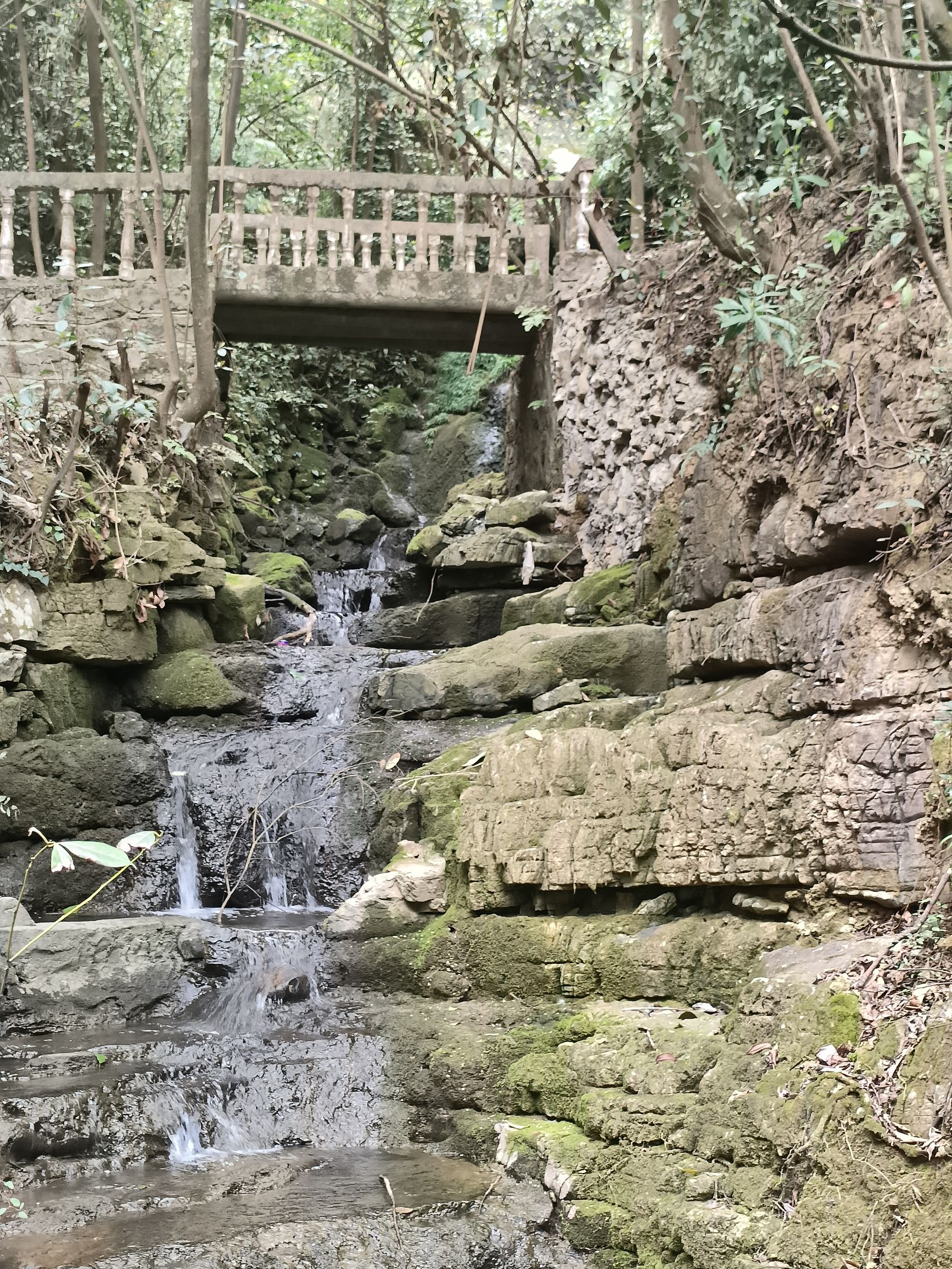 酉阳县三黛沟大鲵自然保护区旅行图片 2