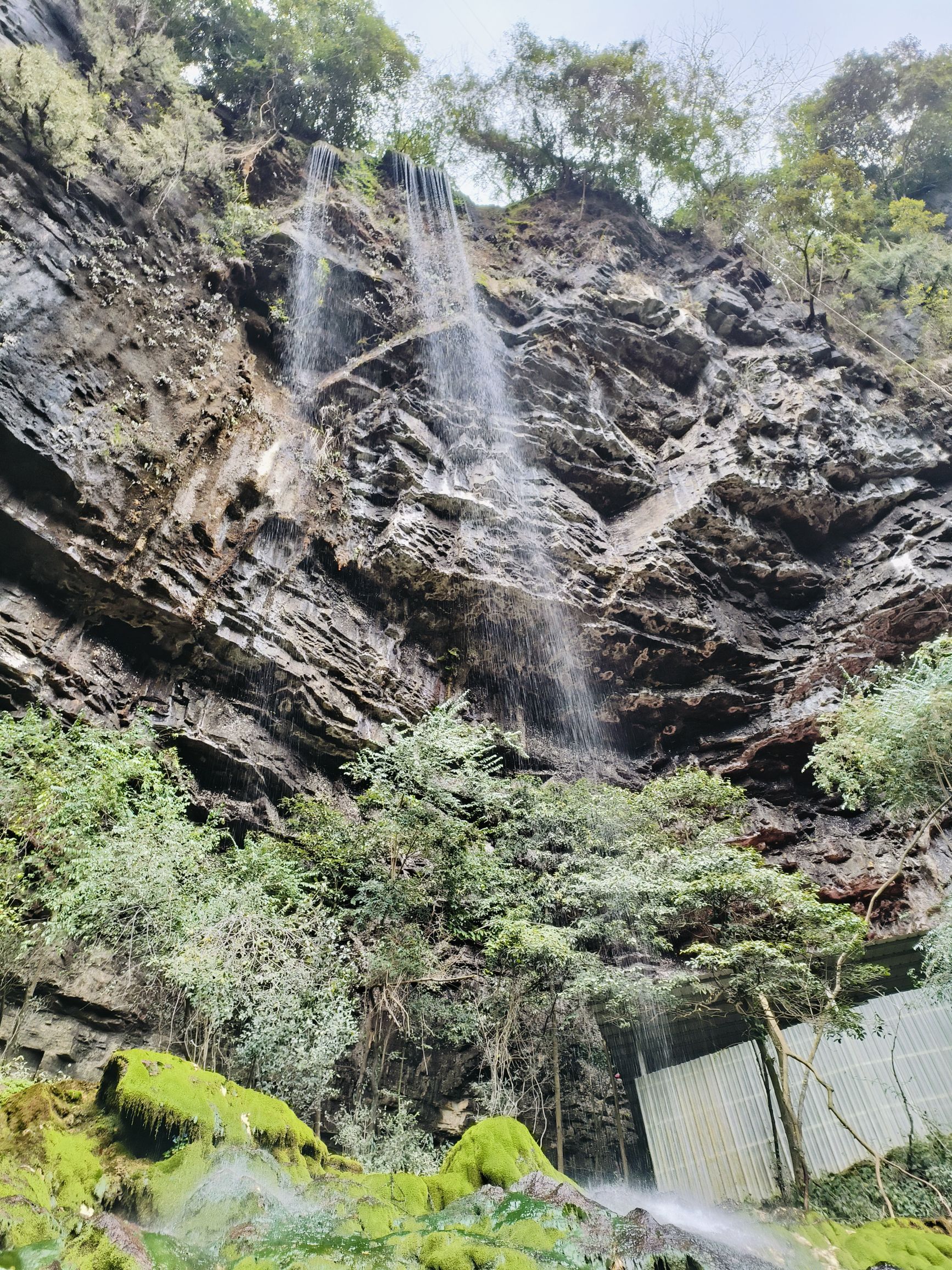 酉阳县三黛沟大鲵自然保护区旅行图片 3