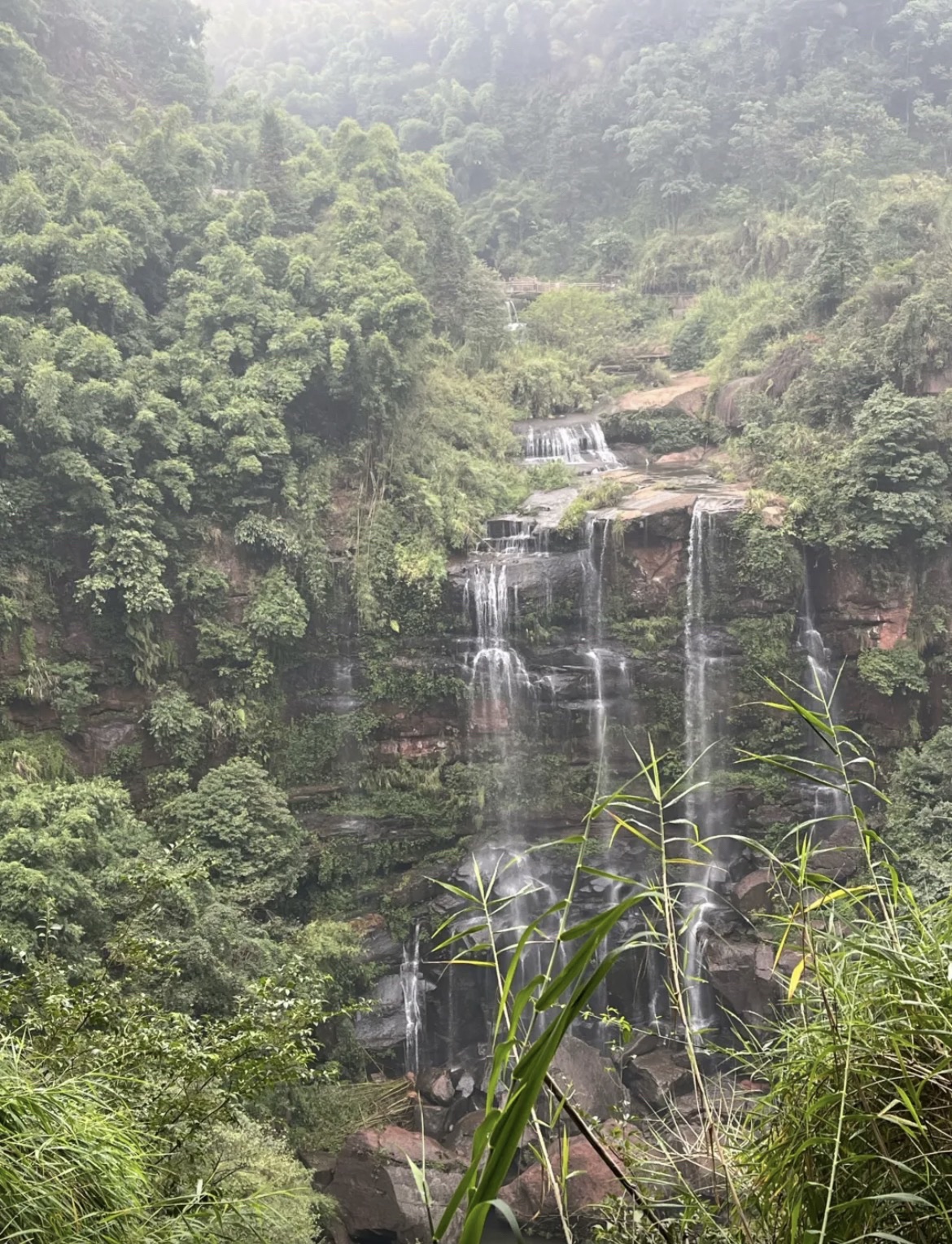 竹文化生态公园旅行图片 2
