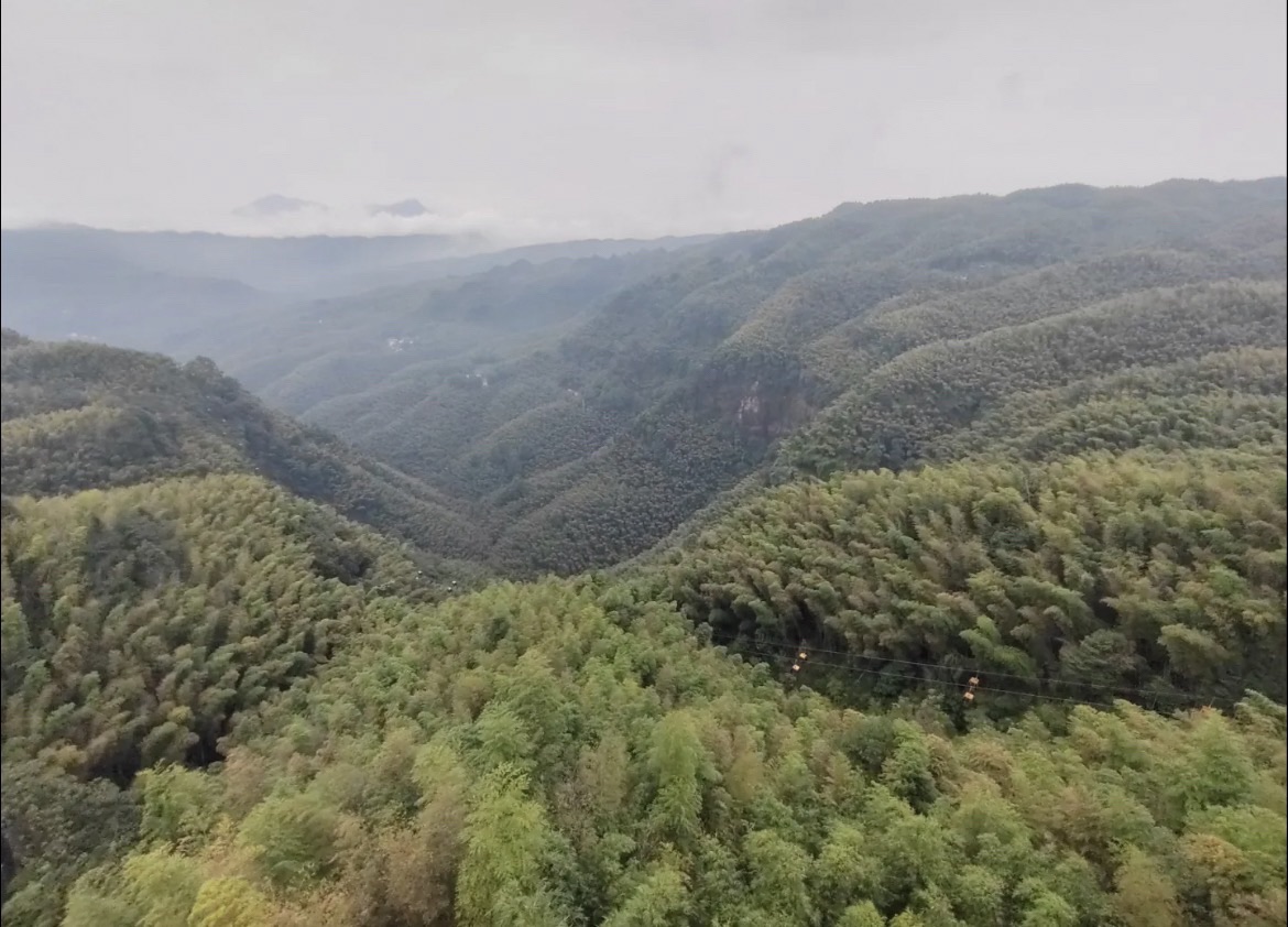 竹文化生态公园旅行图片 3