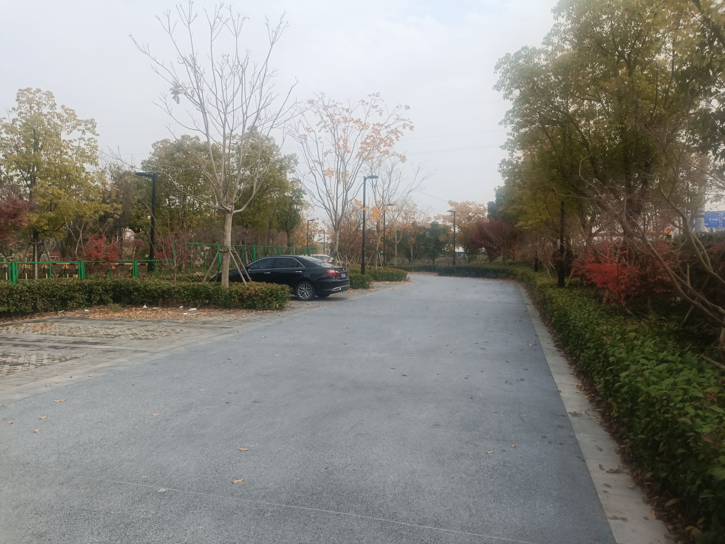 金阊新城体育公园旅行图片 3