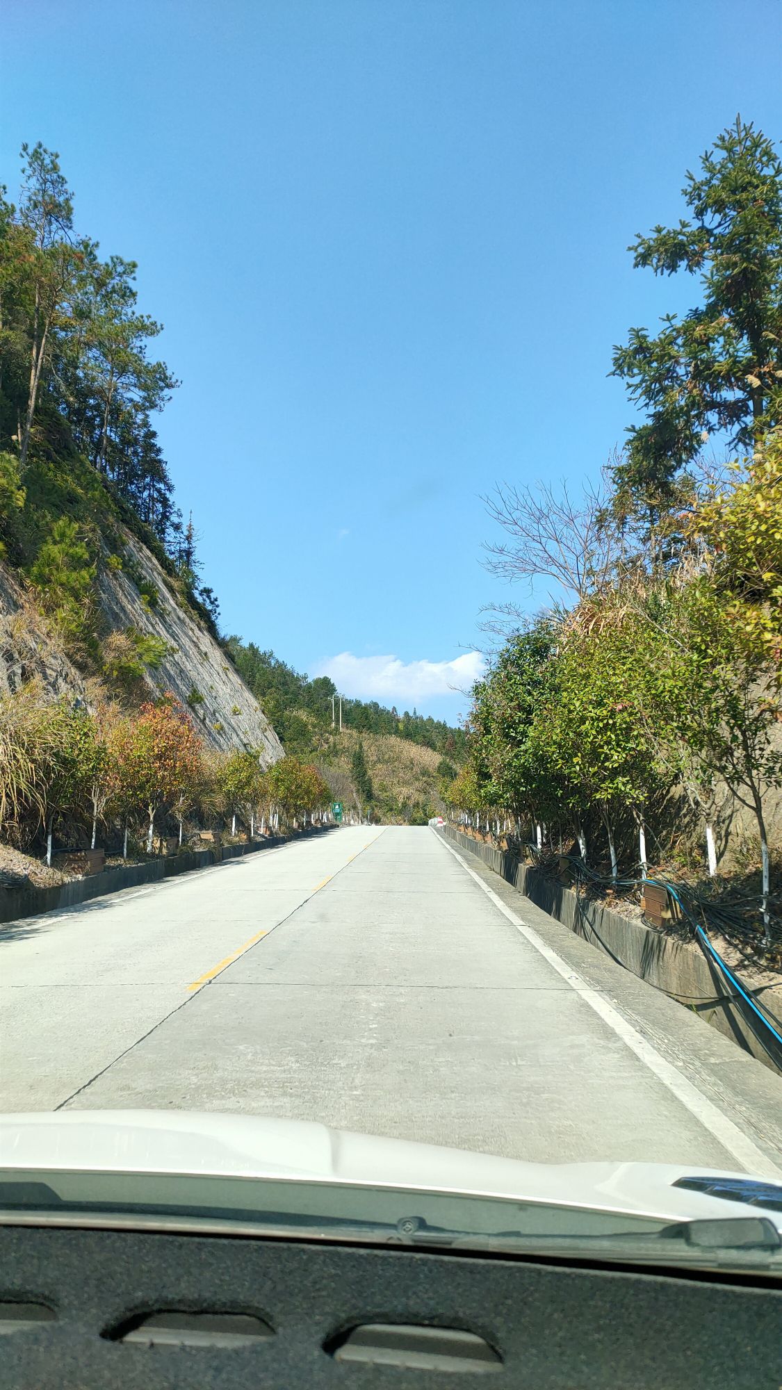 大仙峰·茶美人景区旅行图片 1