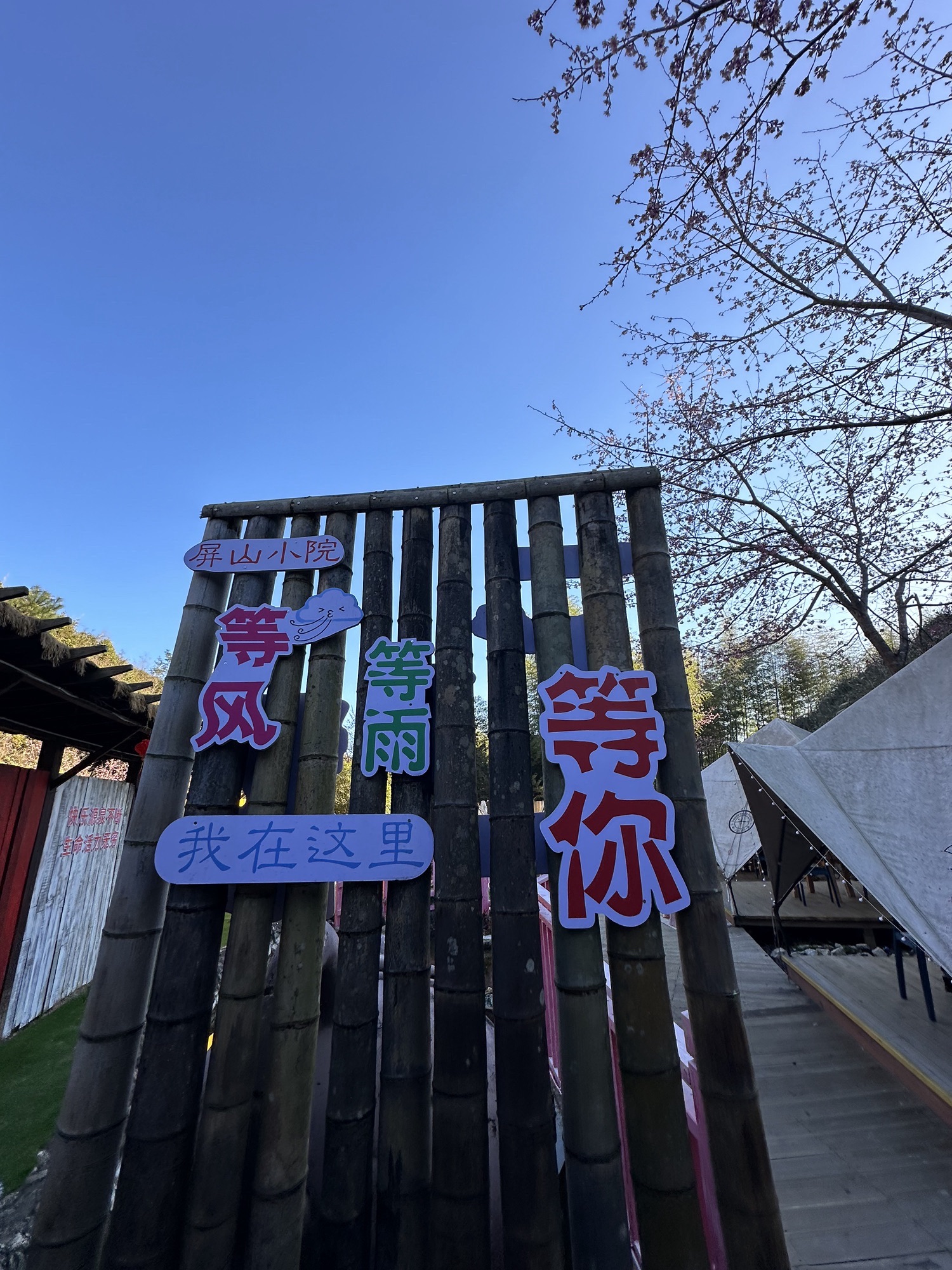 大仙峰·茶美人景区旅行图片 1