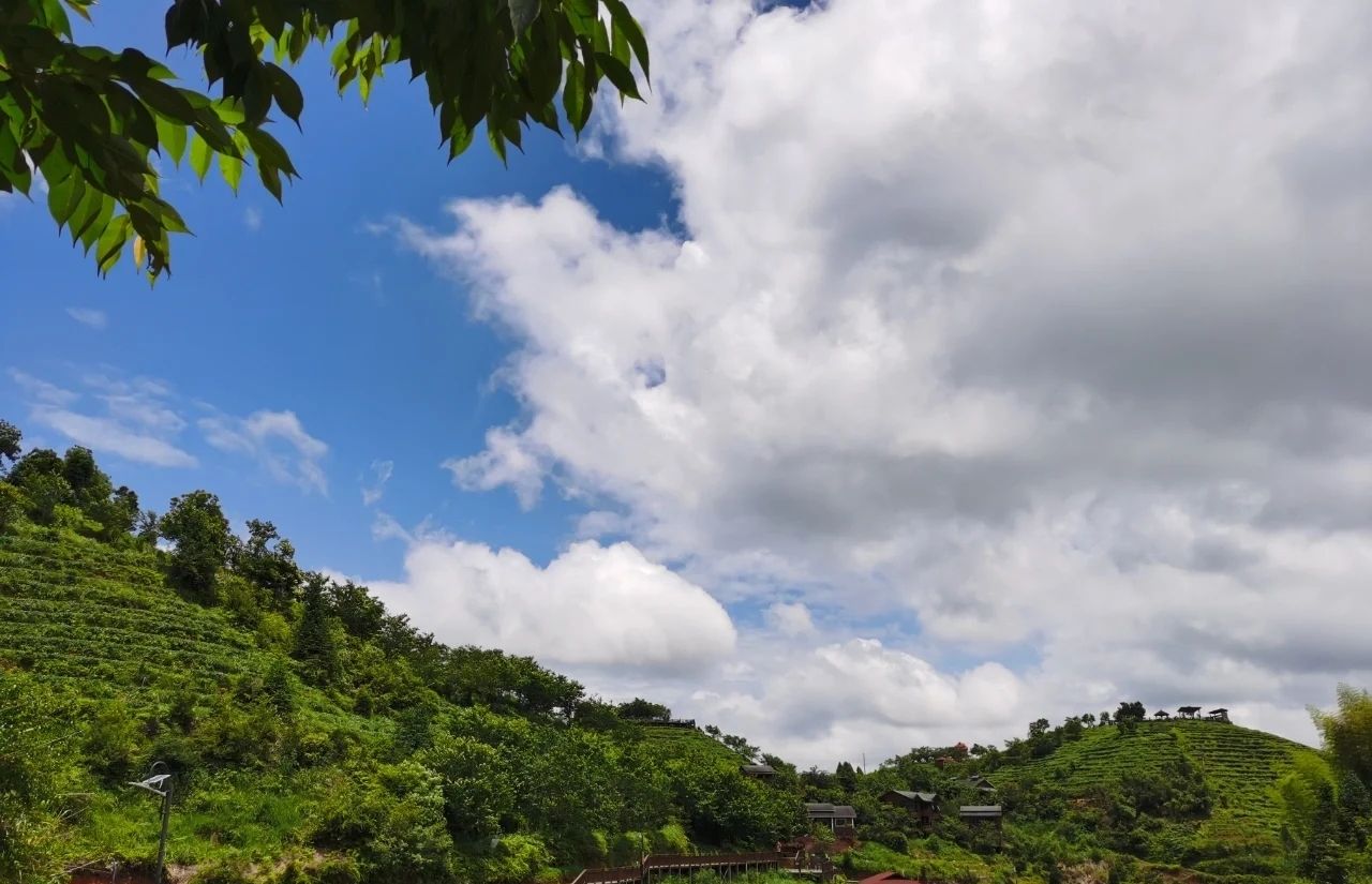大仙峰·茶美人景区旅行图片 3