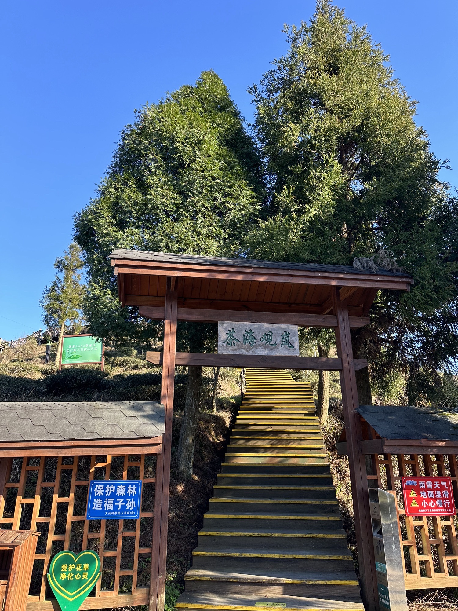 大仙峰·茶美人景区旅行图片 3