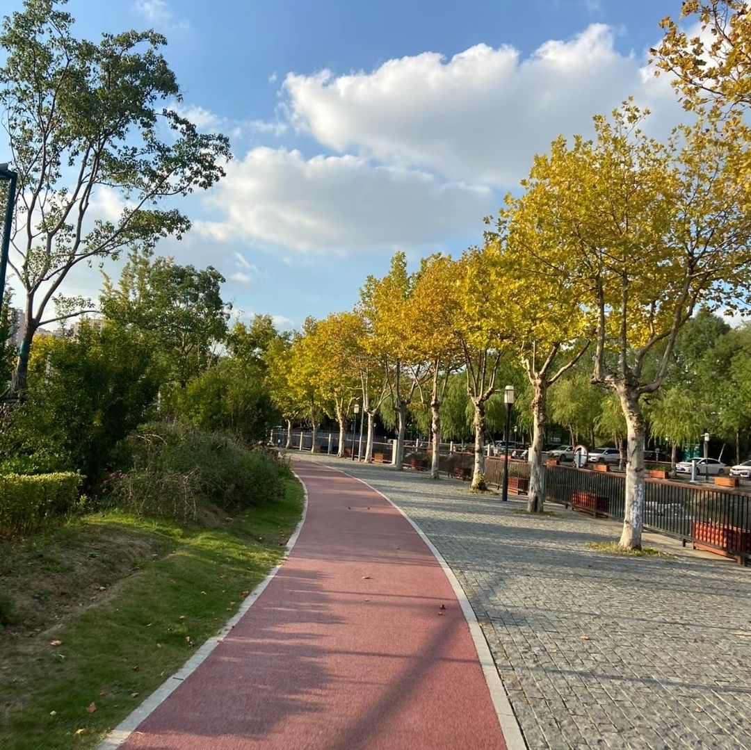 小马公园旅行图片 1