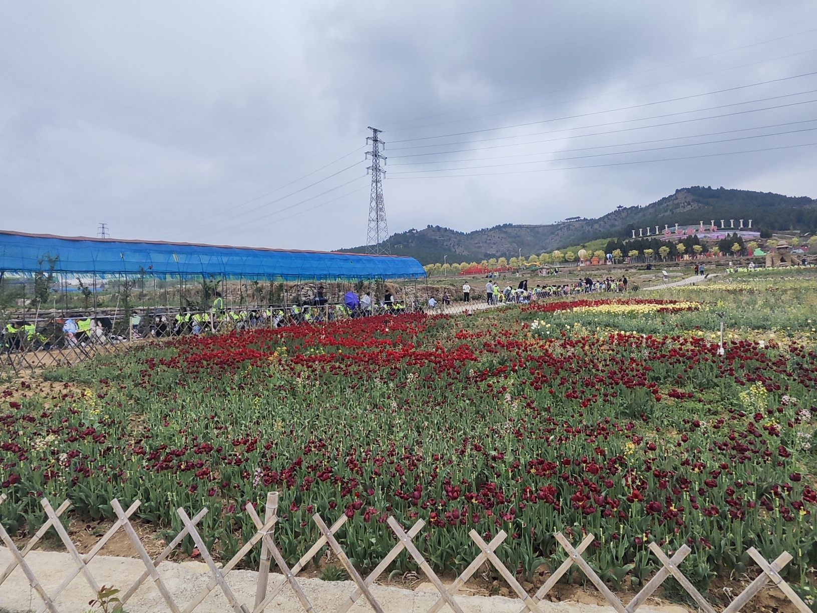 芳蕾玫瑰花乡旅行图片 1