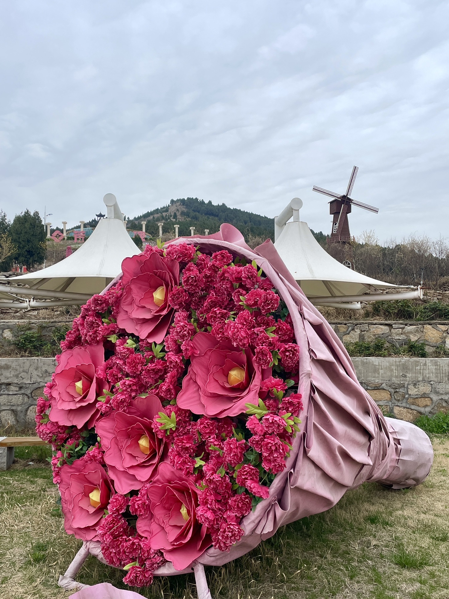 芳蕾玫瑰花乡旅行图片 2