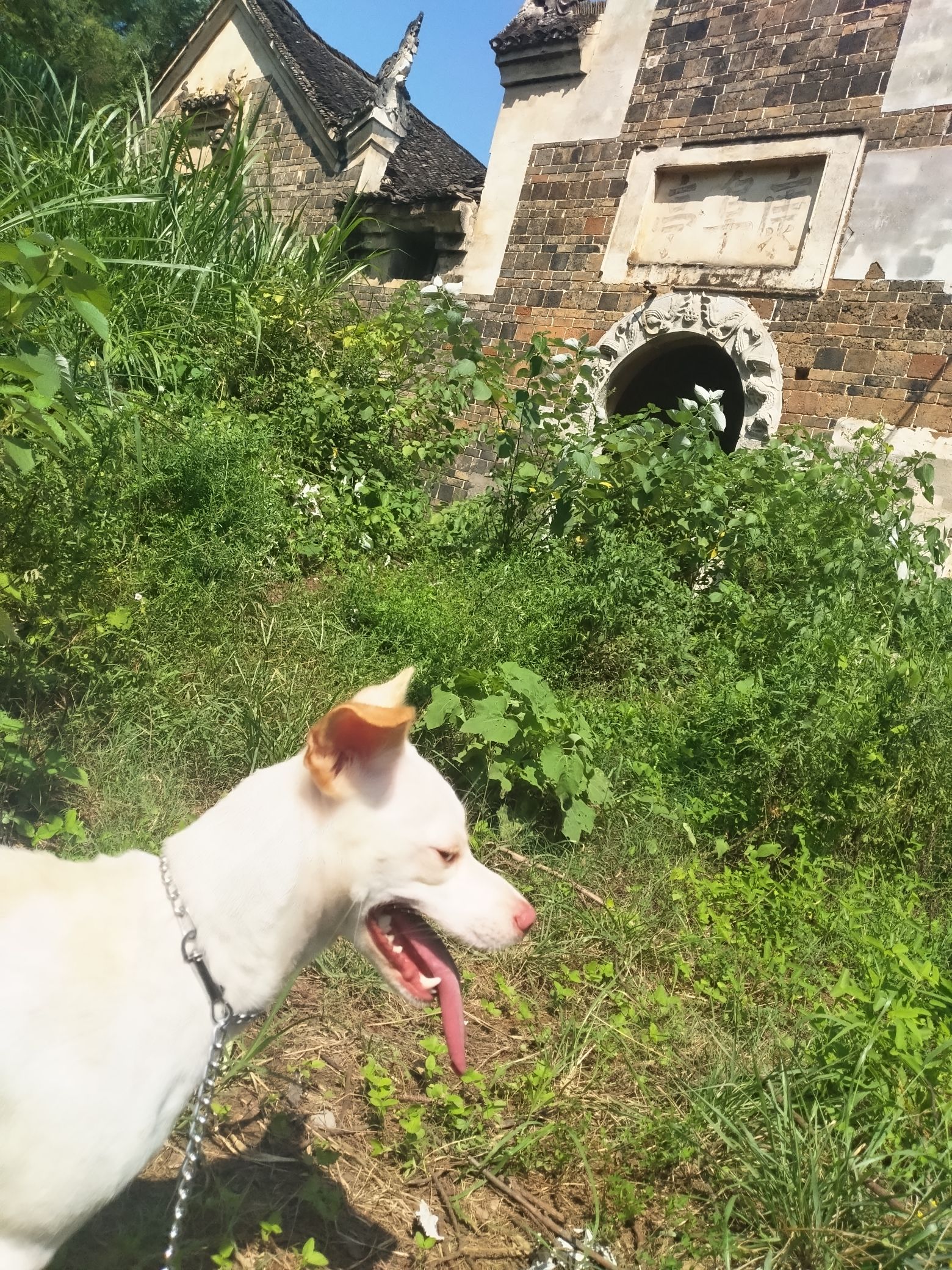 康阜亭旅行图片 3
