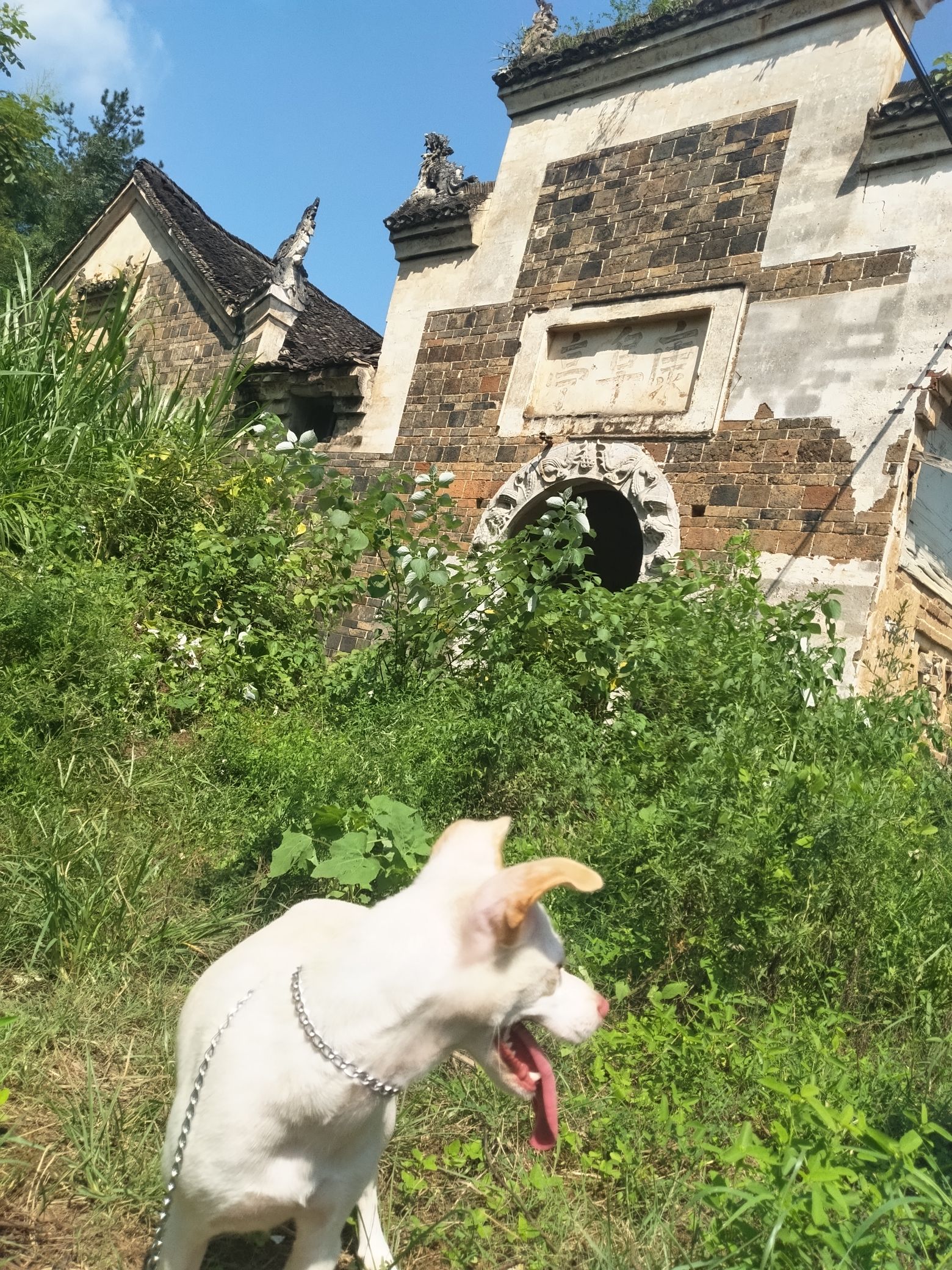 康阜亭旅行图片 2