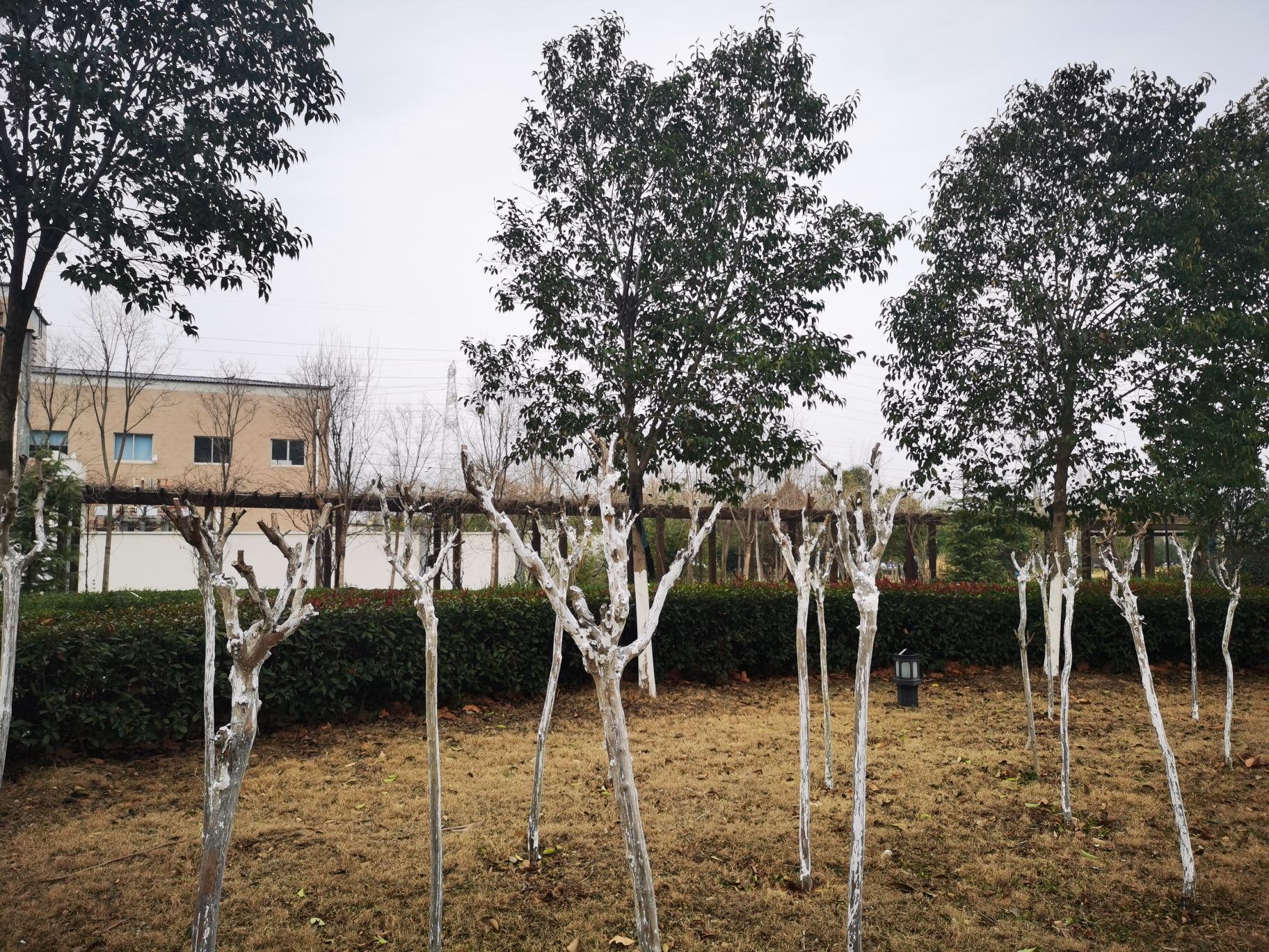 四宜园旅行图片 1
