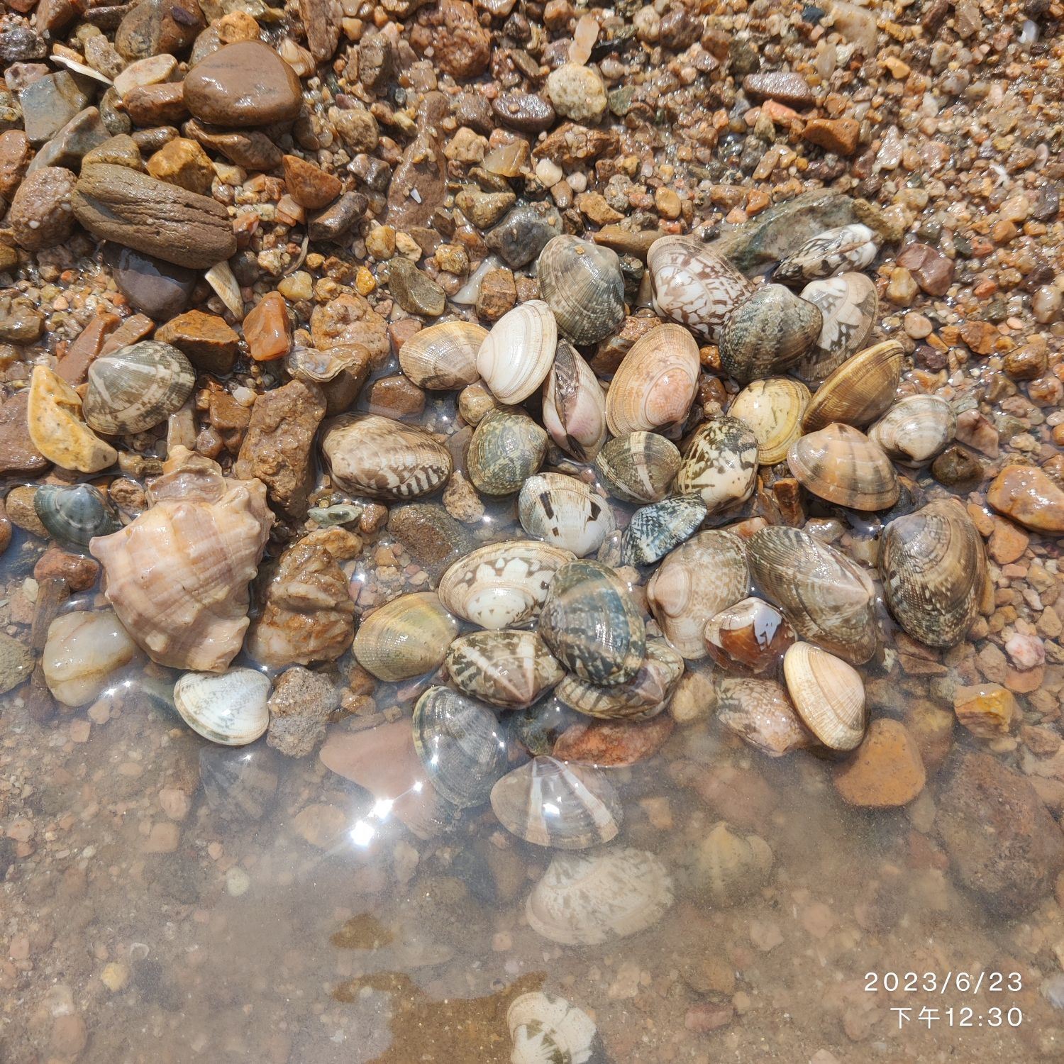 龙凤滩旅行图片 2