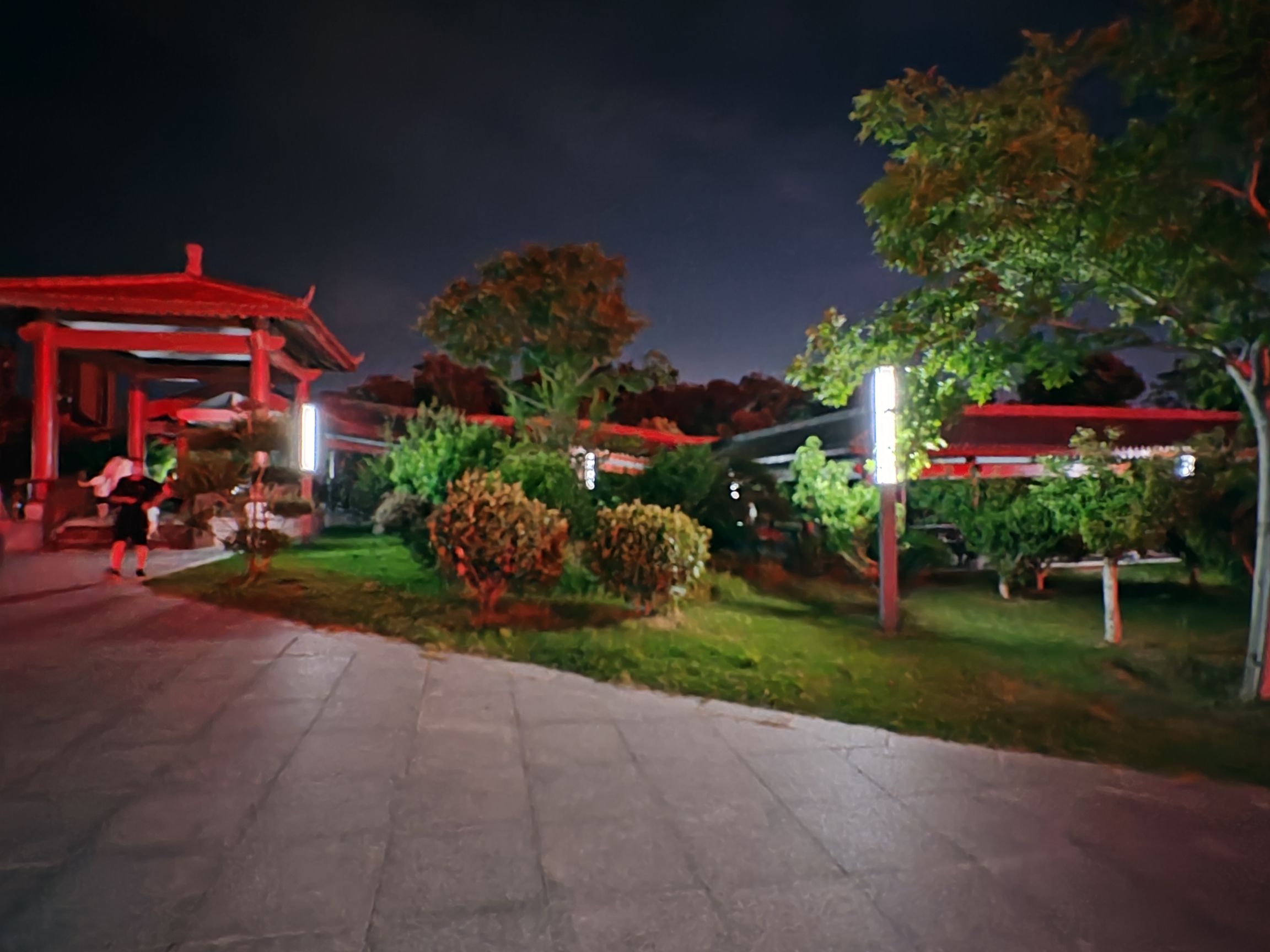 龙凤公园旅行图片 1