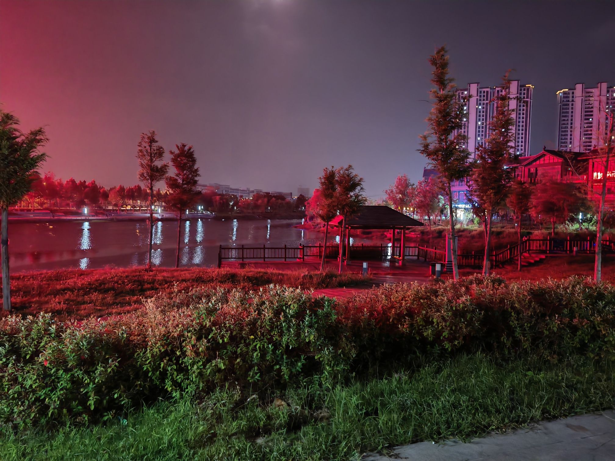 龙凤公园旅行图片 2