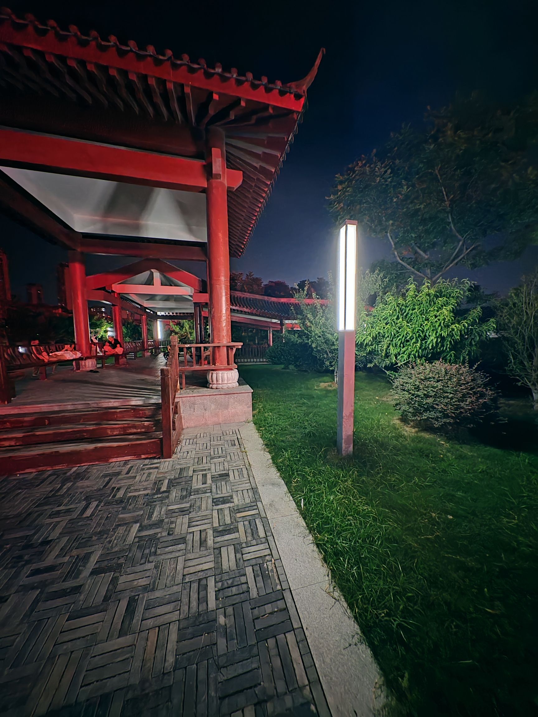 龙凤公园旅行图片 3