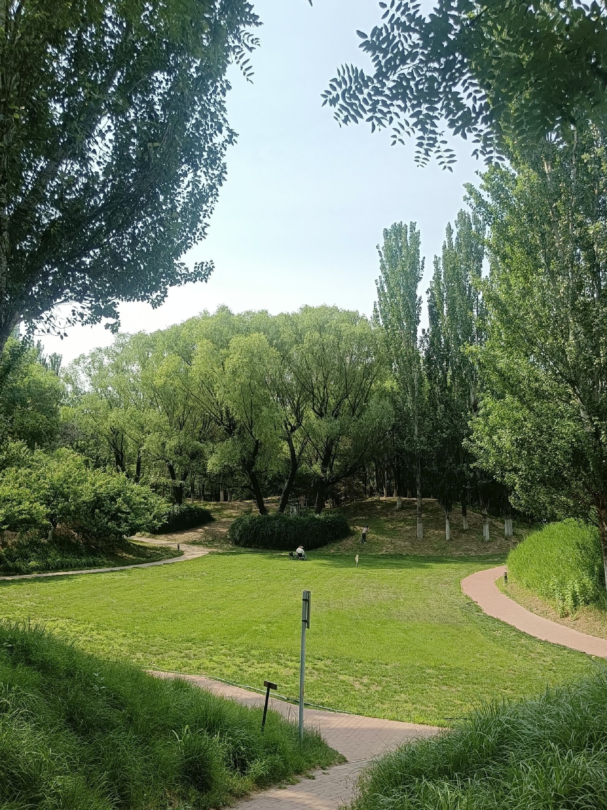 望京伯爵城中央公园旅行图片 1