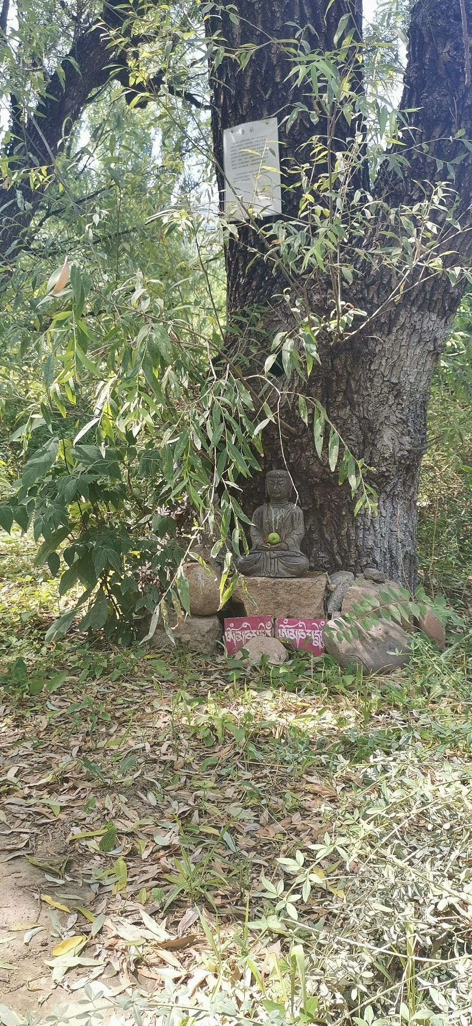 望京伯爵城中央公园旅行图片 3
